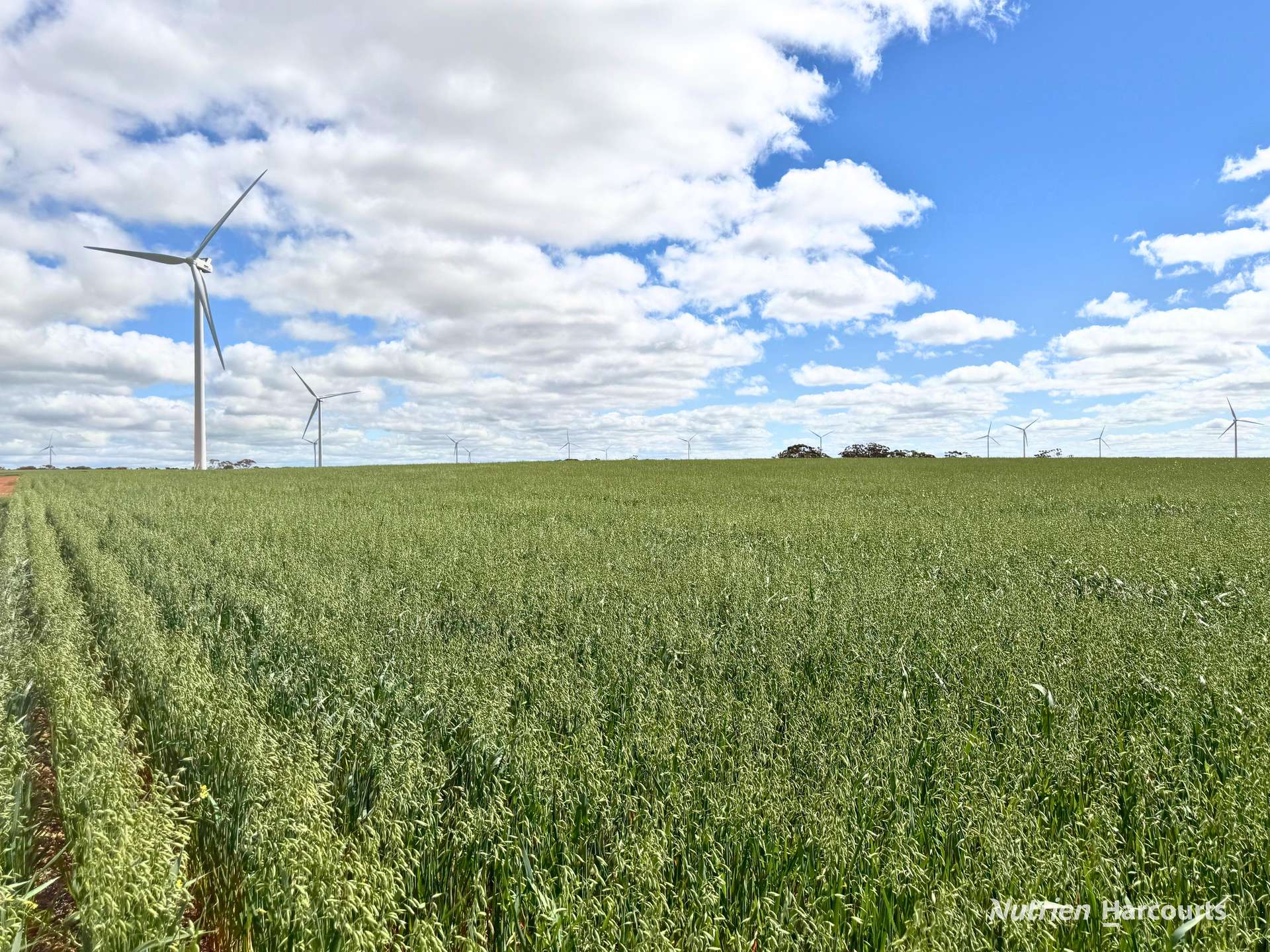 "Windfarm" Lot 20762 Springwell Valley Road, South Burracoppin Auction by Farmbuy.com - image 23