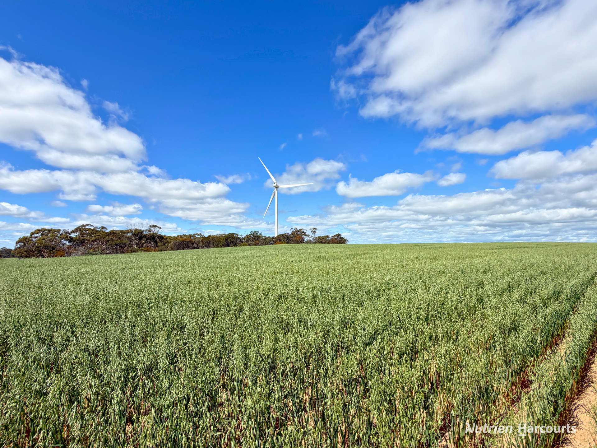 "Windfarm" Lot 20762 Springwell Valley Road, South Burracoppin Auction by Farmbuy.com - image 20