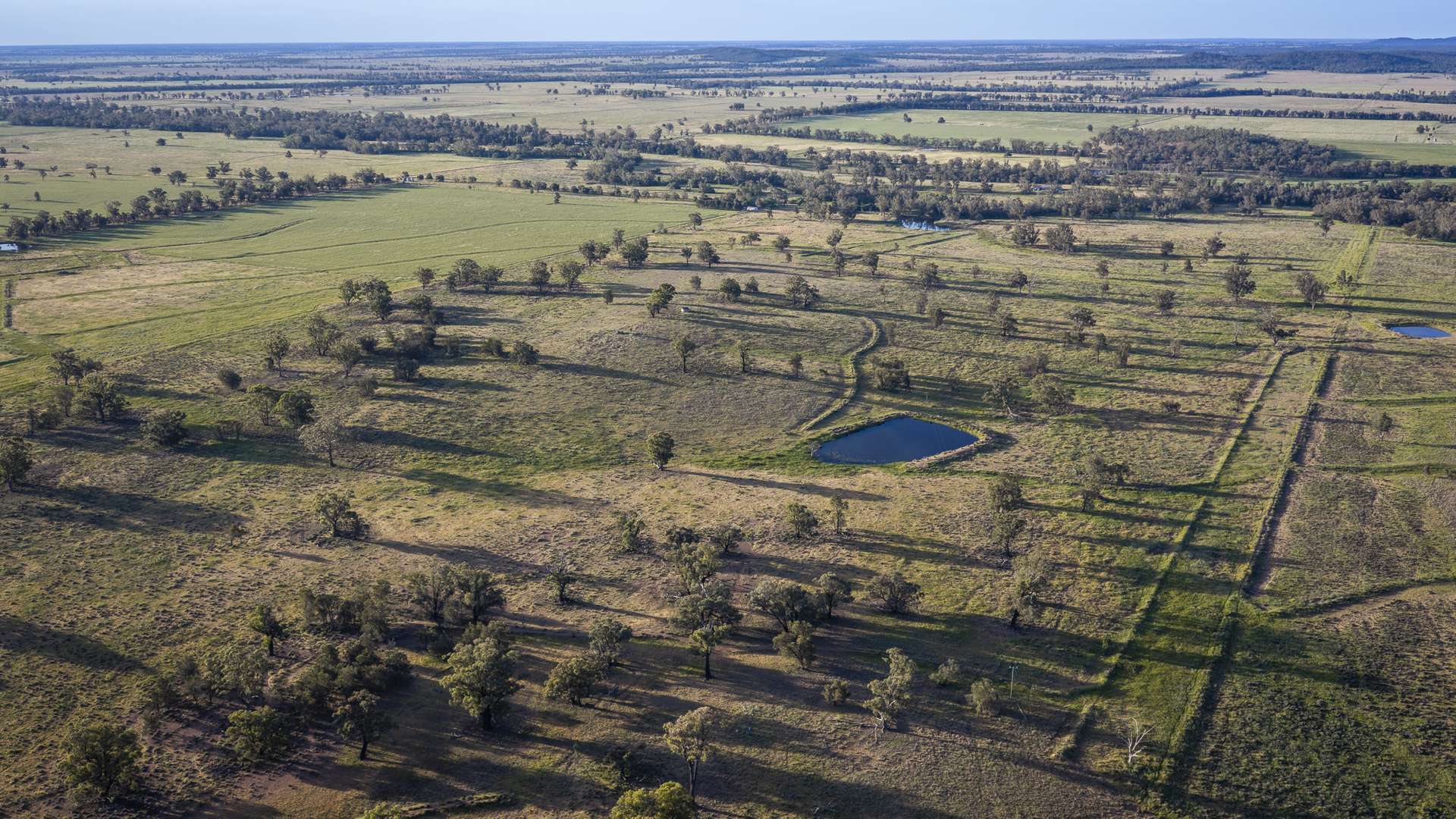 440 Gundong Road, Tomingley Auction by Farmbuy.com - image 21
