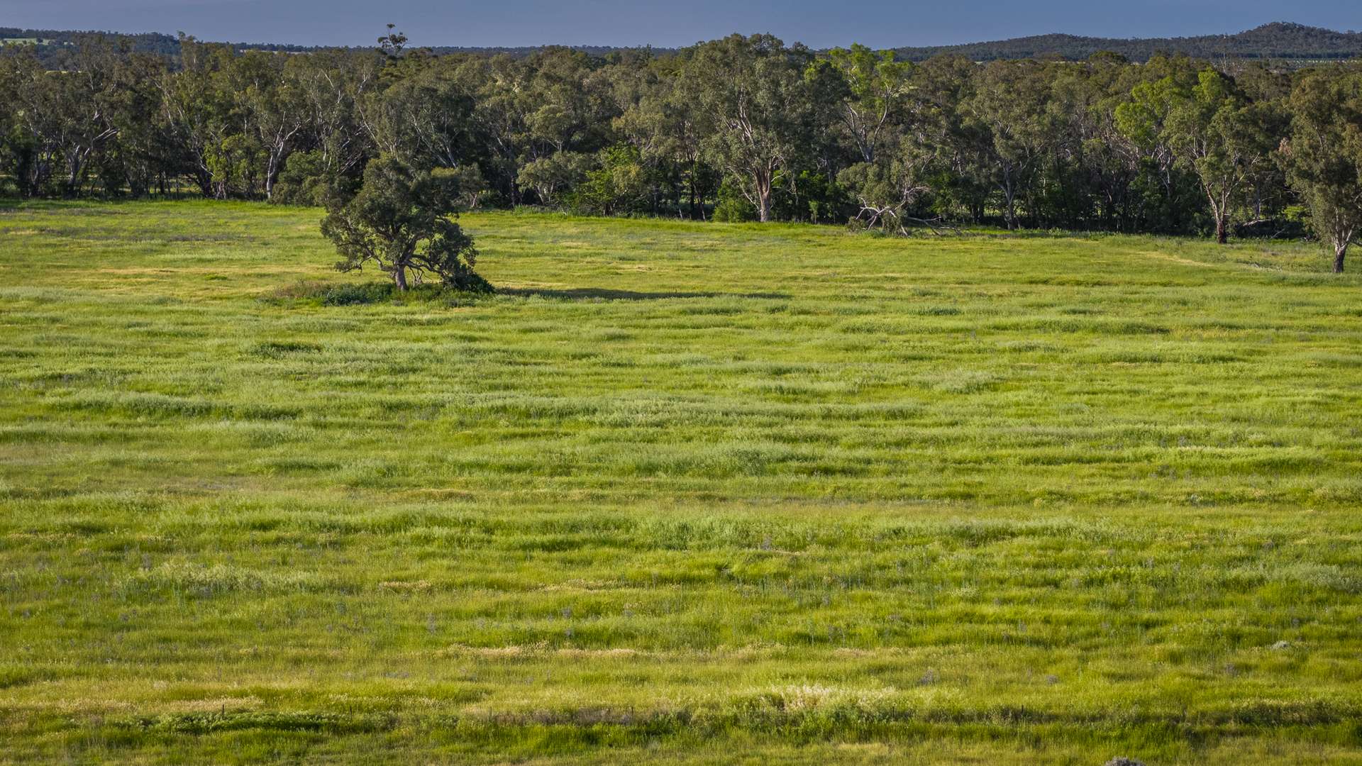 440 Gundong Road, Tomingley Auction by Farmbuy.com - image 28