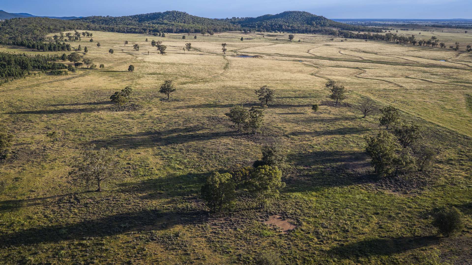 440 Gundong Road, Tomingley Auction by Farmbuy.com - image 9