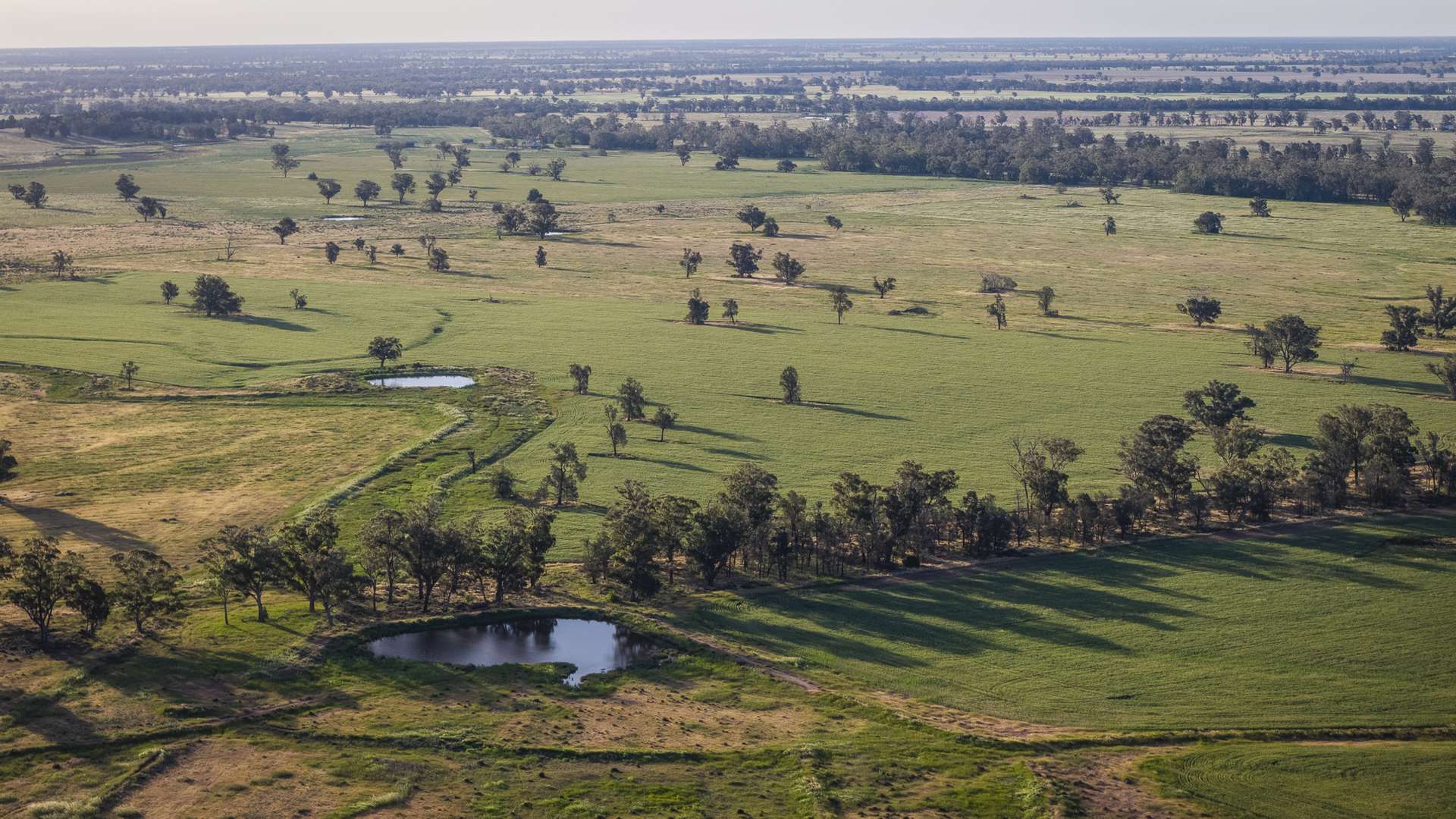 440 Gundong Road, Tomingley Auction by Farmbuy.com - image 2