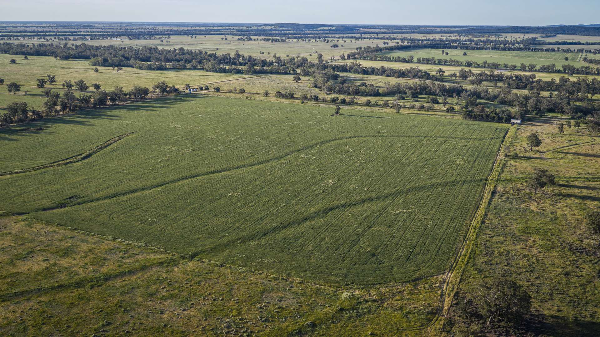 440 Gundong Road, Tomingley Auction by Farmbuy.com - image 14