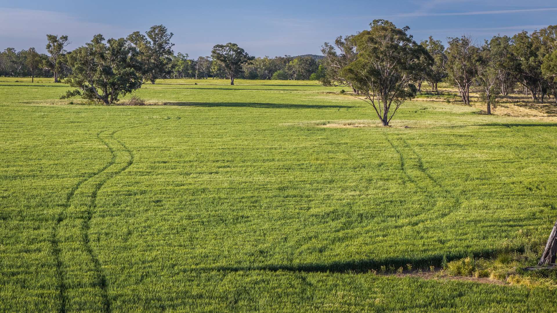 440 Gundong Road, Tomingley Auction by Farmbuy.com - image 3