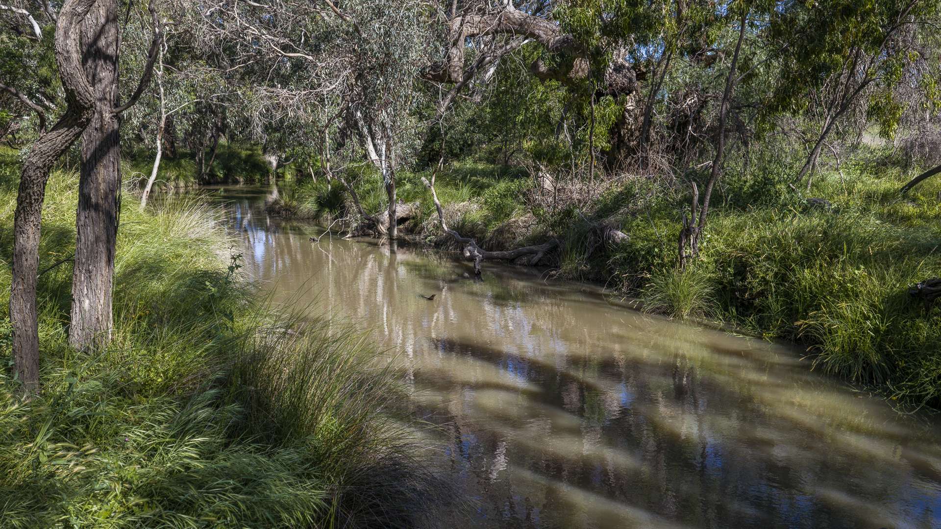 440 Gundong Road, Tomingley Auction by Farmbuy.com - image 5
