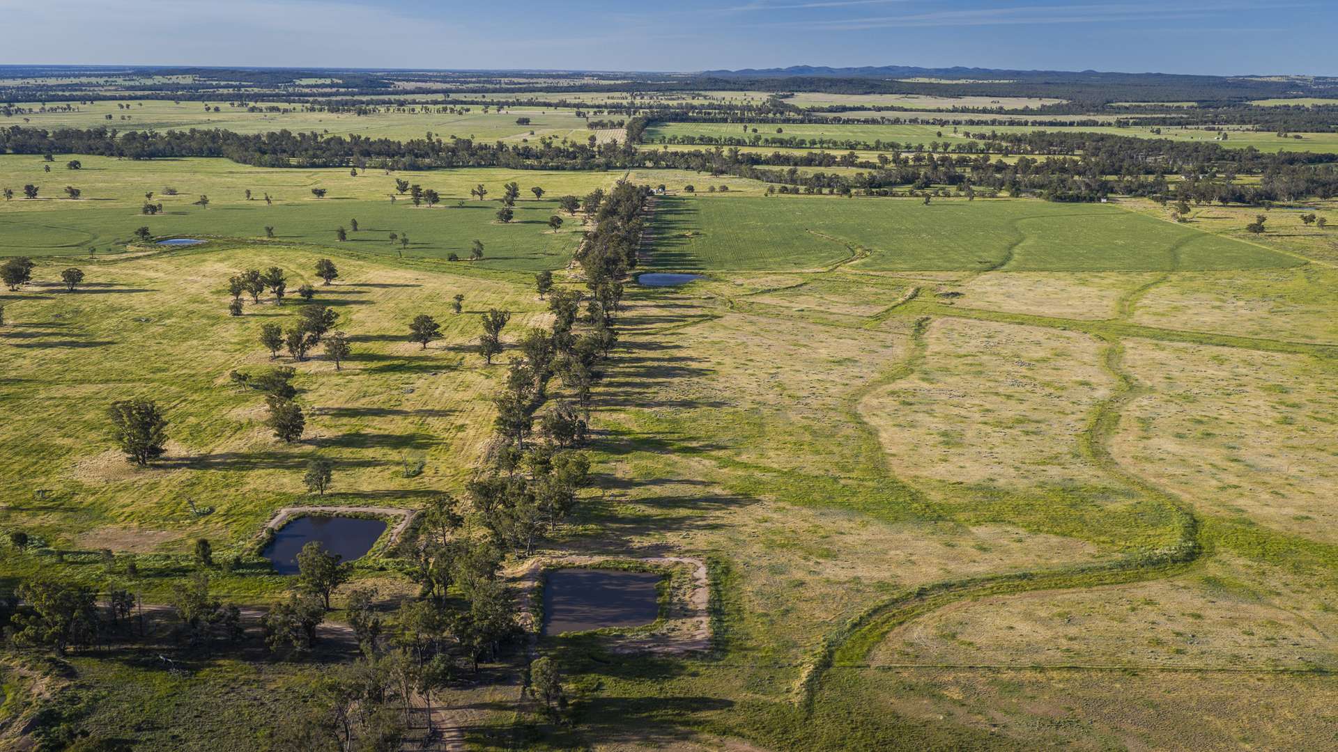 440 Gundong Road, Tomingley Auction by Farmbuy.com - image 4