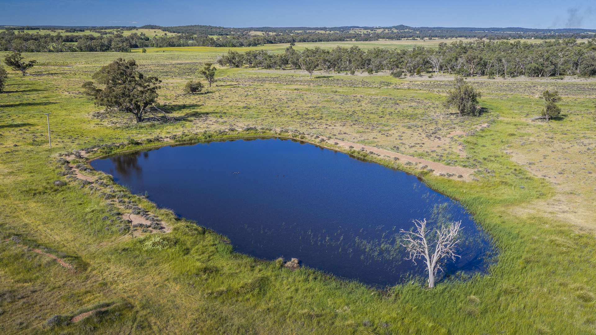 440 Gundong Road, Tomingley Auction by Farmbuy.com - image 13