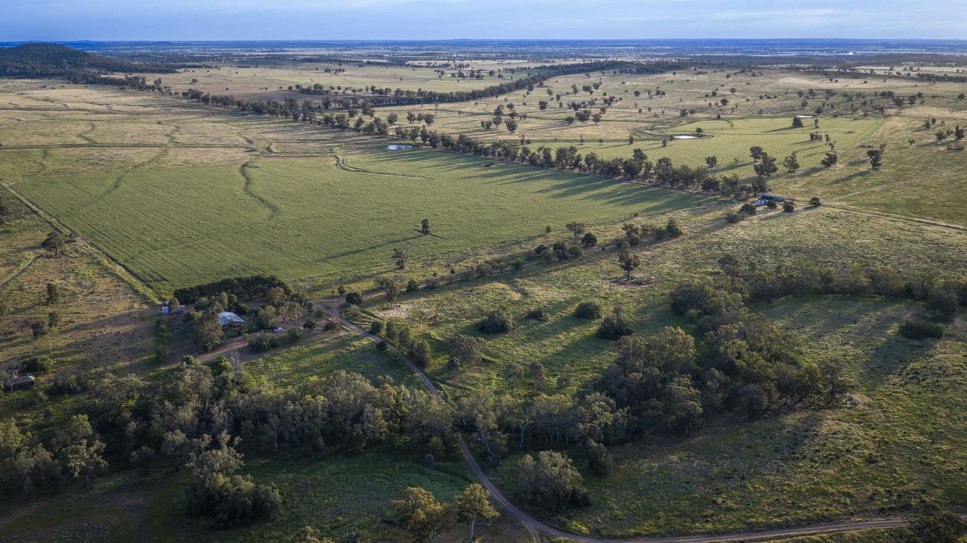 440 Gundong Road, Tomingley Auction by Farmbuy.com - image 27