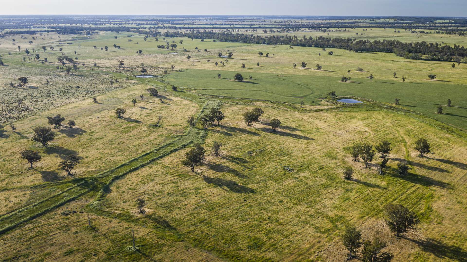 440 Gundong Road, Tomingley Auction by Farmbuy.com - image 10
