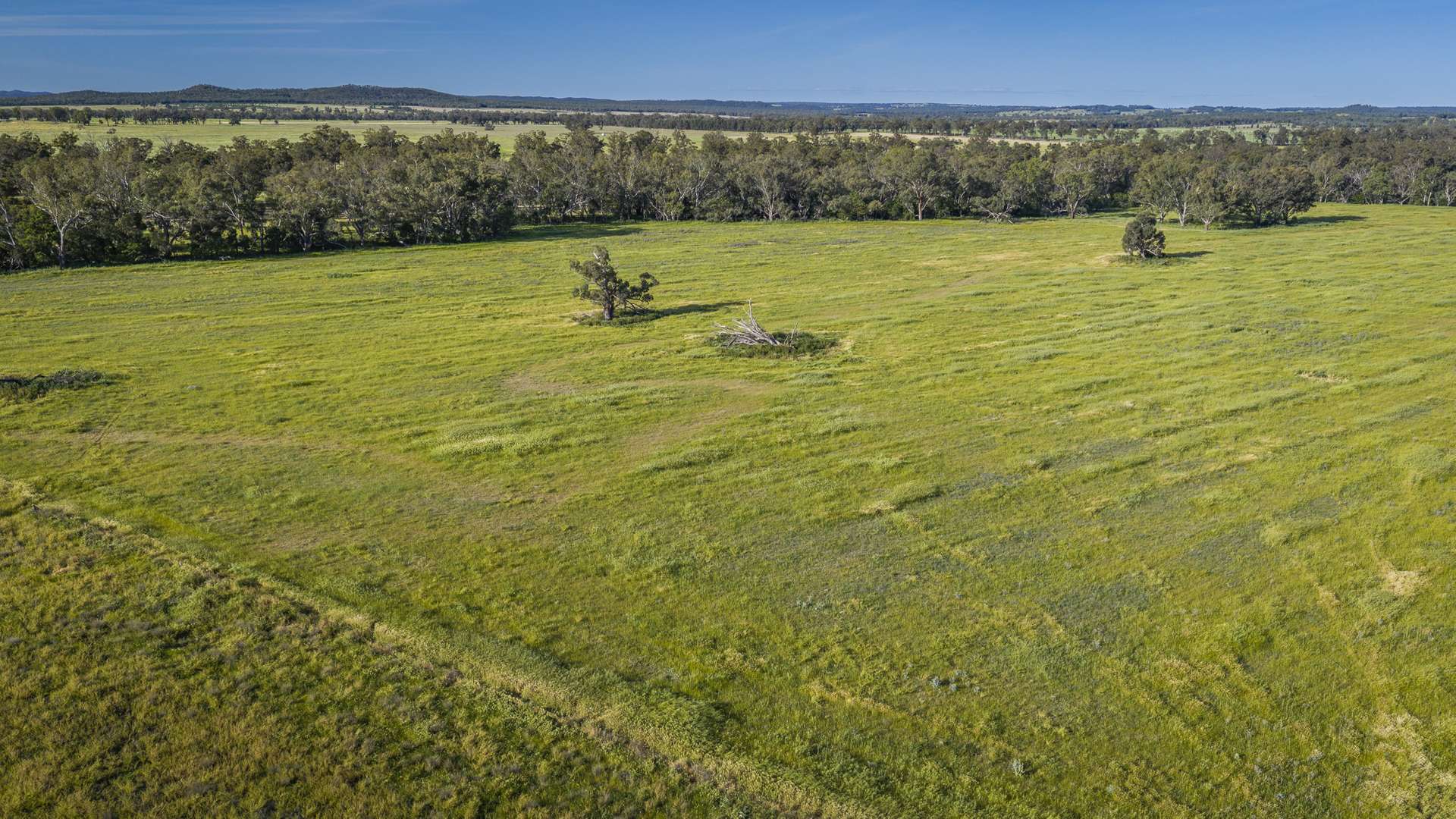 440 Gundong Road, Tomingley Auction by Farmbuy.com - image 6