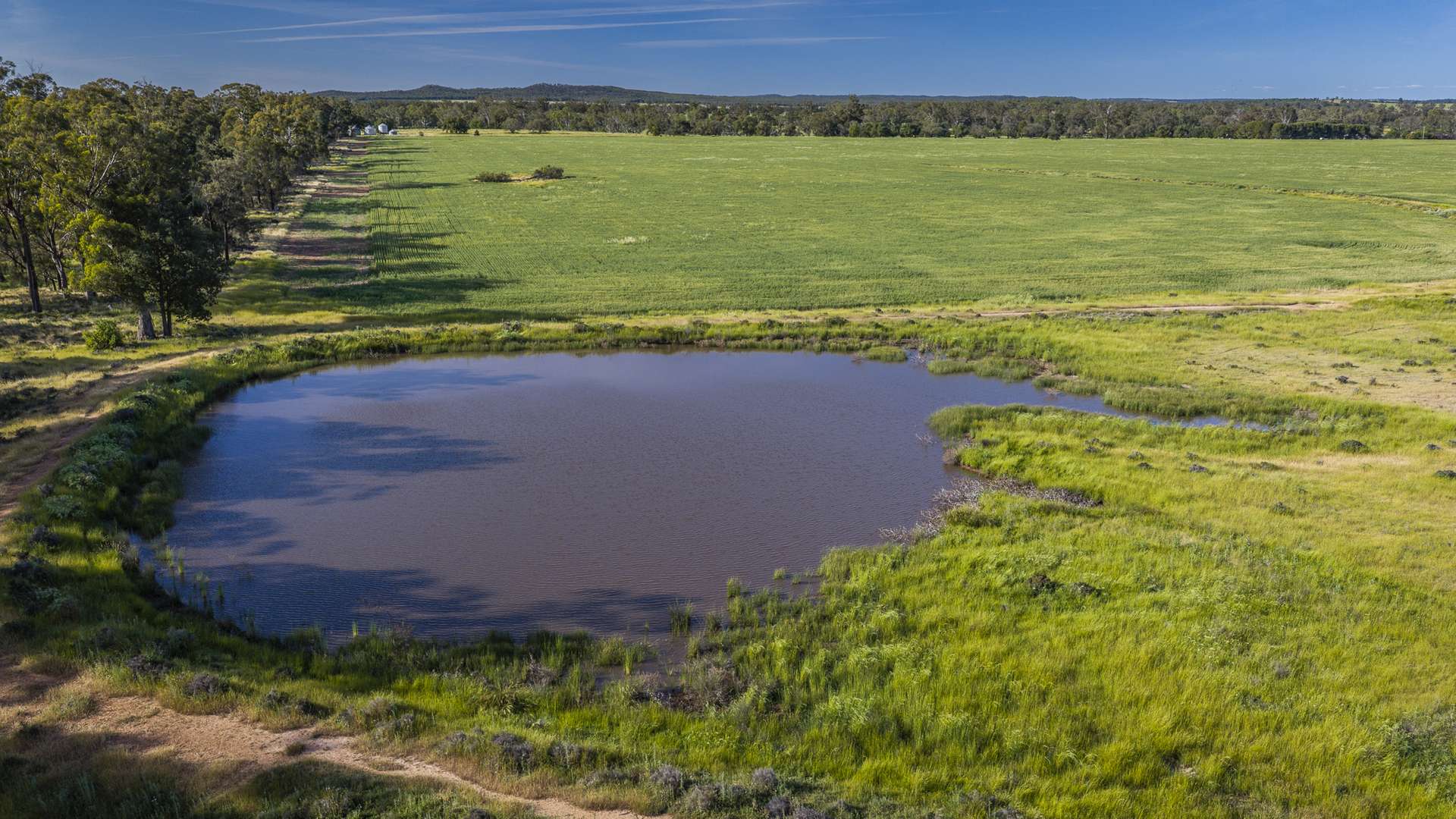 440 Gundong Road, Tomingley Auction by Farmbuy.com - image 11