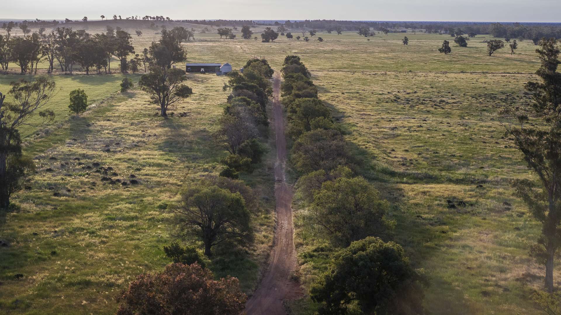 440 Gundong Road, Tomingley Auction by Farmbuy.com - image 7