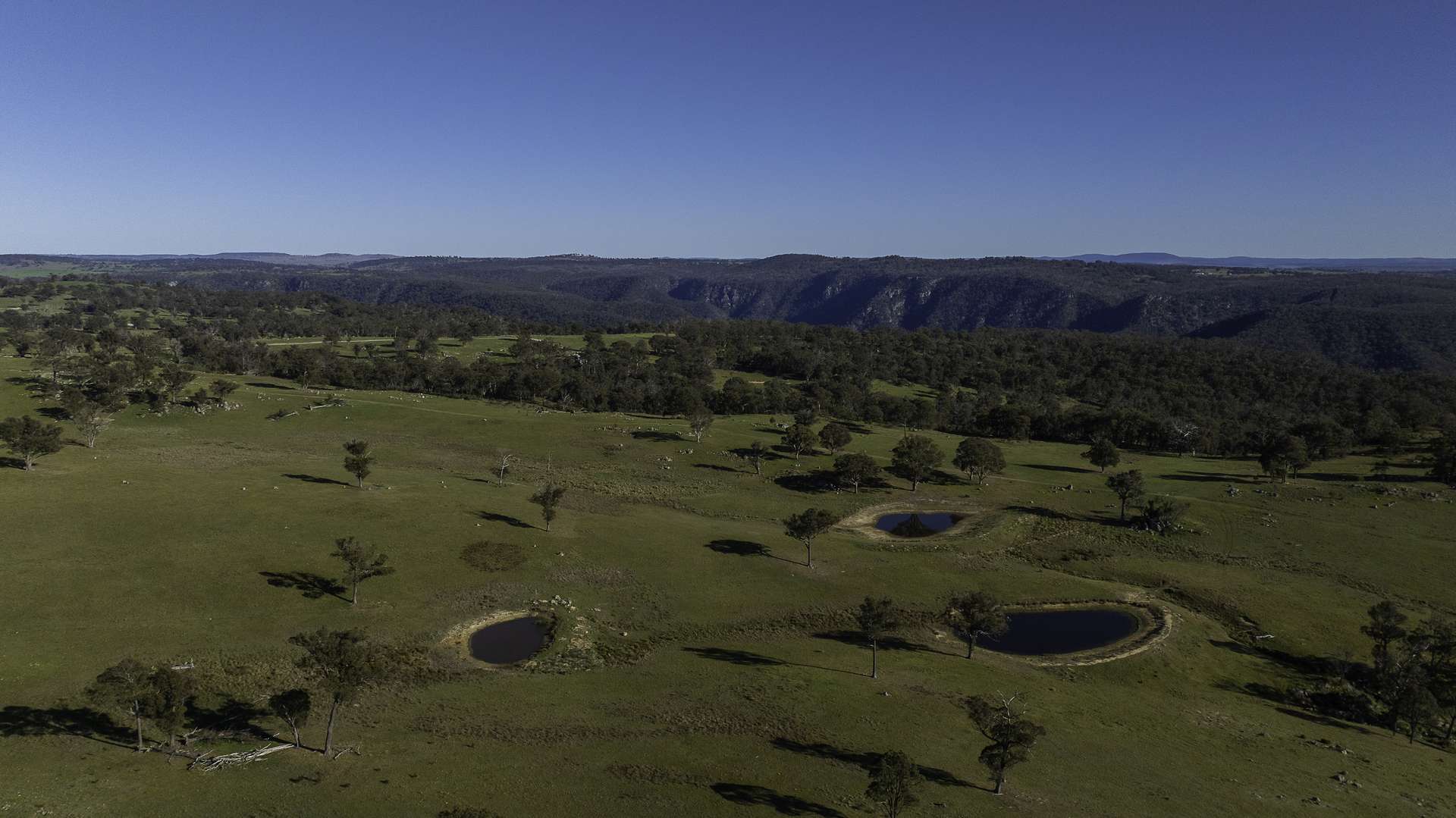 "Spring Camp" 221 Spring Camp Road, Armidale Tender by Farmbuy.com - image 5