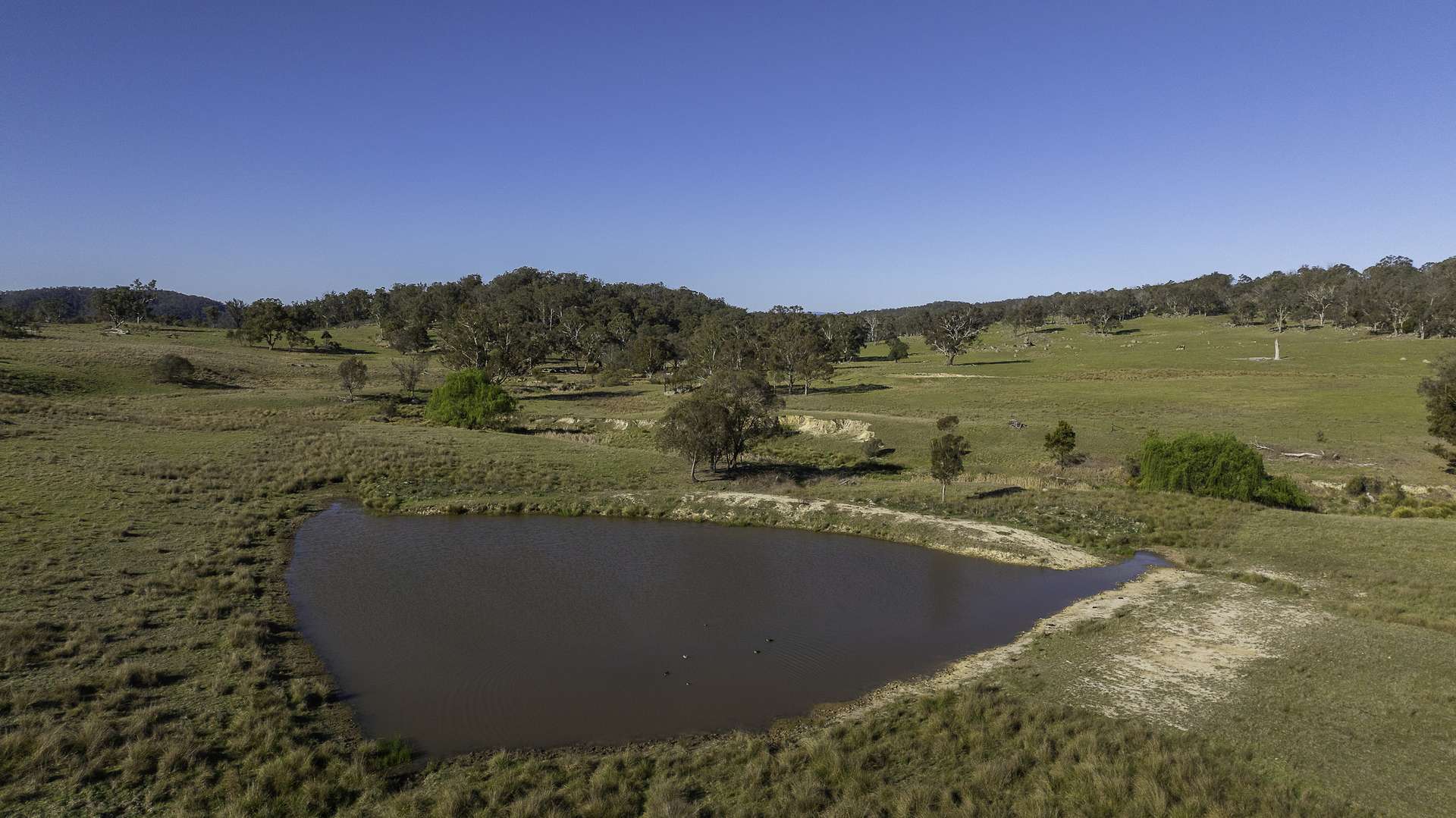 "Spring Camp" 221 Spring Camp Road, Armidale Tender by Farmbuy.com - image 21