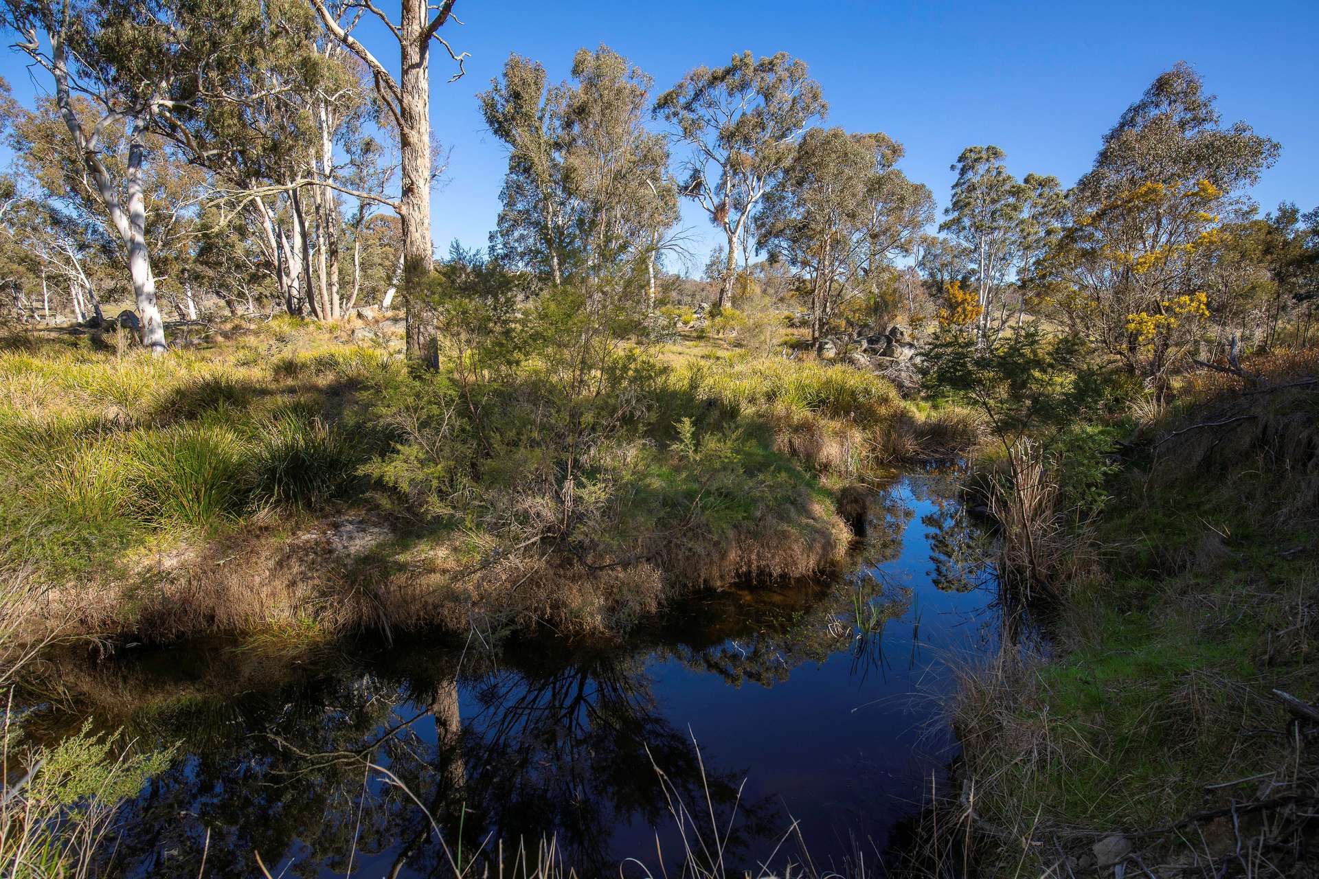 "Spring Camp" 221 Spring Camp Road, Armidale Tender by Farmbuy.com - image 23