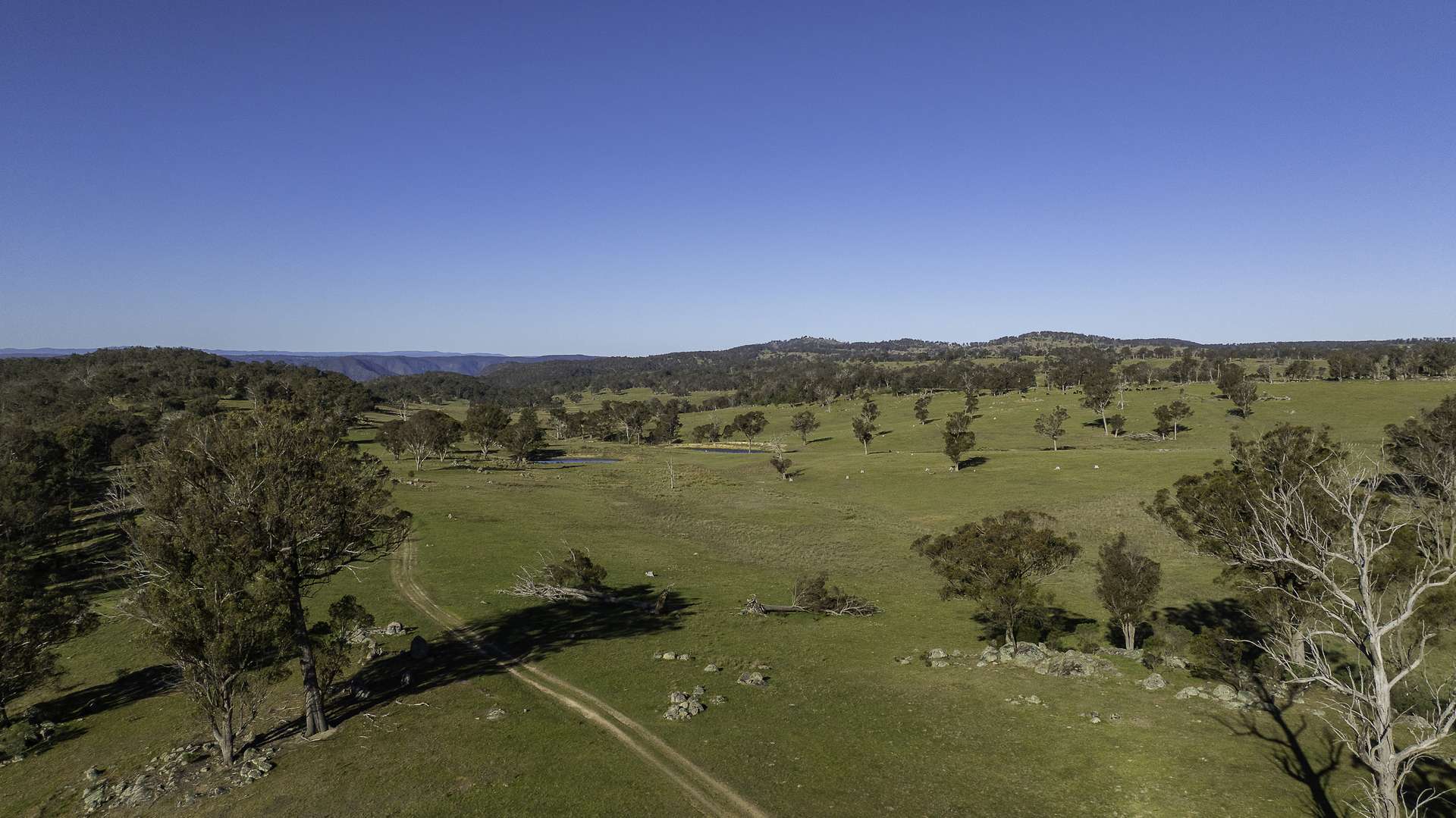 "Spring Camp" 221 Spring Camp Road, Armidale Tender by Farmbuy.com - image 19