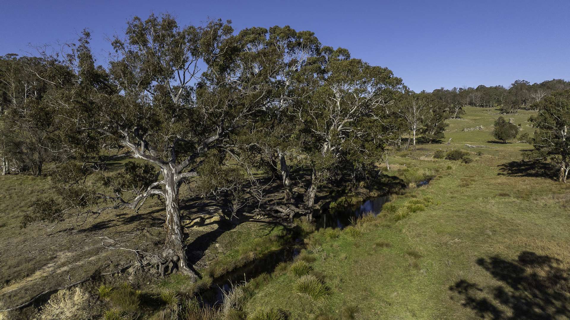 "Spring Camp" 221 Spring Camp Road, Armidale Tender by Farmbuy.com - image 22