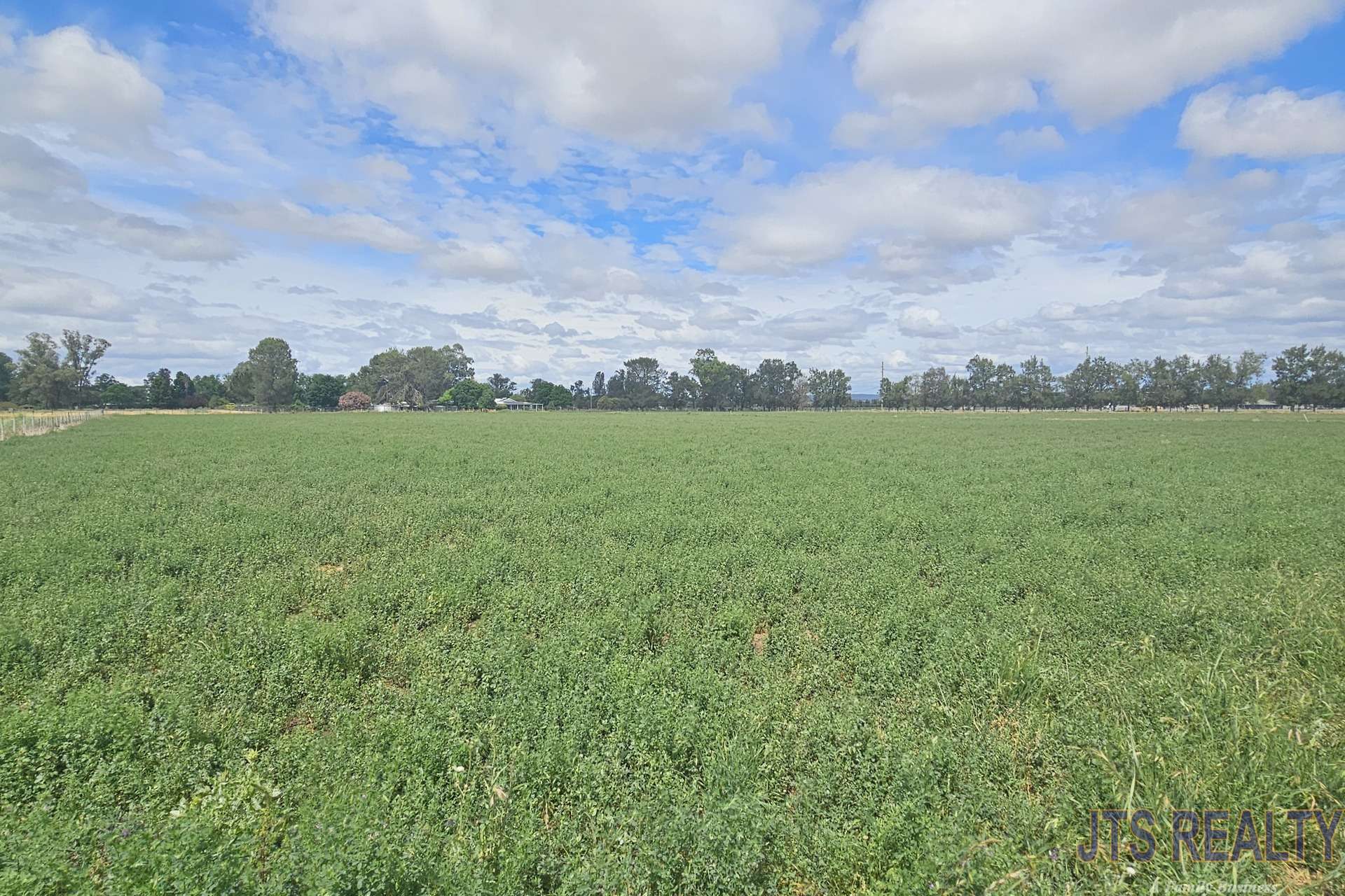 1370 New England Highway, Aberdeen For Sale by Farmbuy.com - image 21