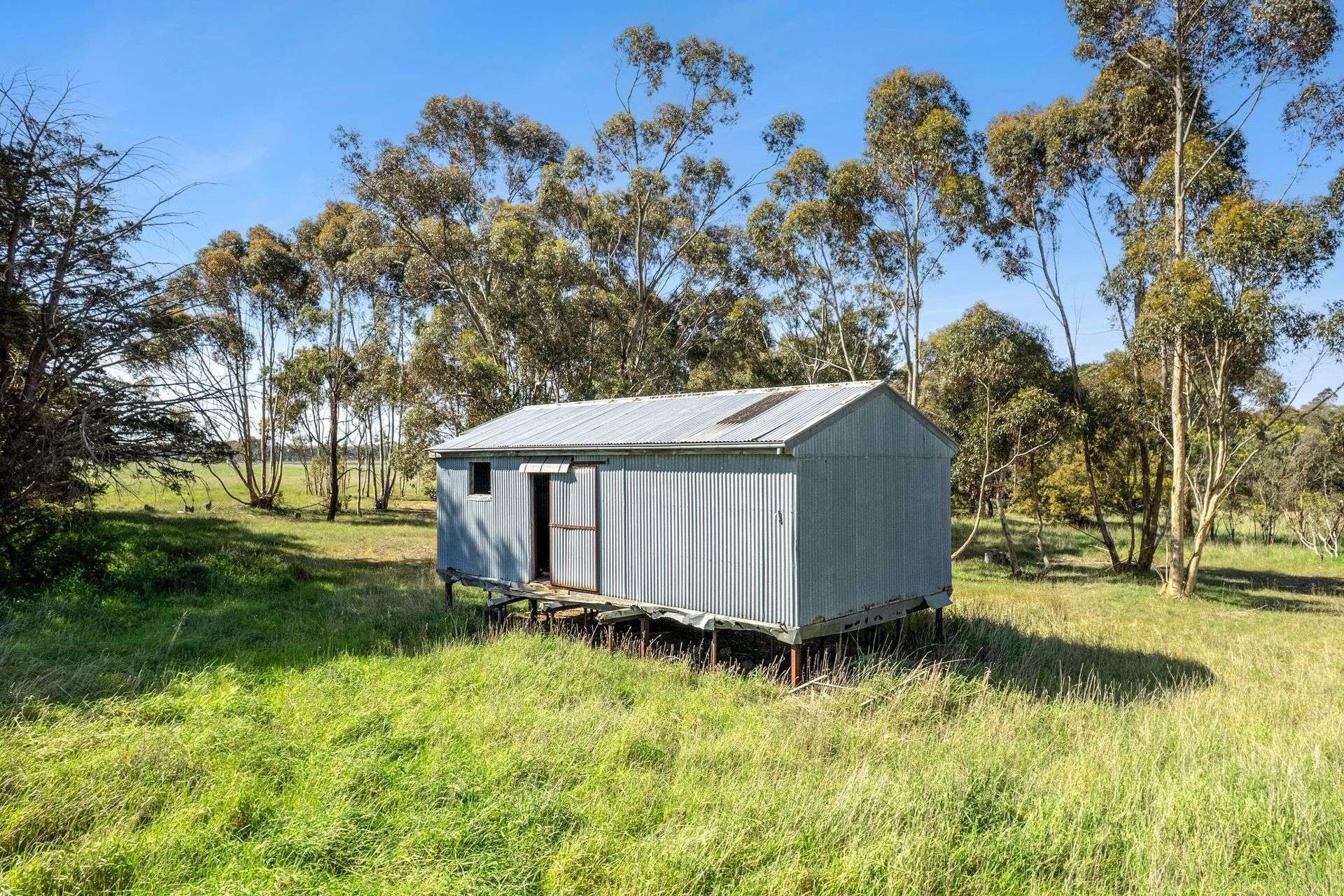 1081 Wingeel Road, Wingeel For Sale by Farmbuy.com - image 7