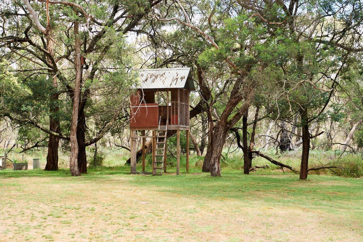 210 Chapmans Road, Bahgallah For Sale by Farmbuy.com - image 9