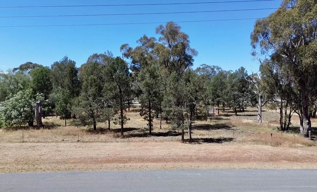 Lot Lot 11-12,  Clarence Street, Boree Creek For Sale by Farmbuy.com - image 4
