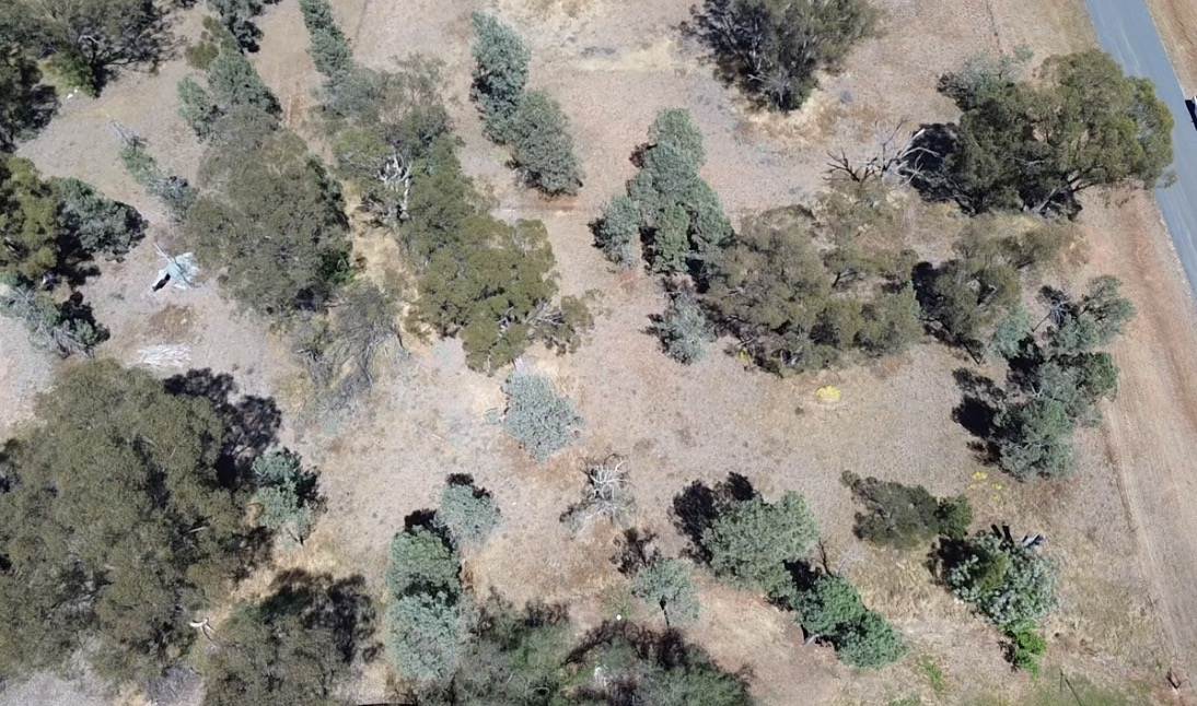 Lot Lot 11-12,  Clarence Street, Boree Creek For Sale by Farmbuy.com - image 8