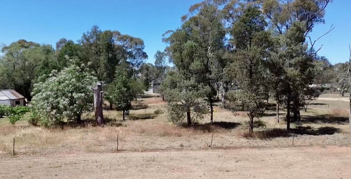 Lot Lot 11-12,  Clarence Street, Boree Creek For Sale by Farmbuy.com - image 5