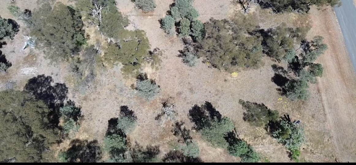 Lot Lot 11-12,  Clarence Street, Boree Creek For Sale by Farmbuy.com - image 9