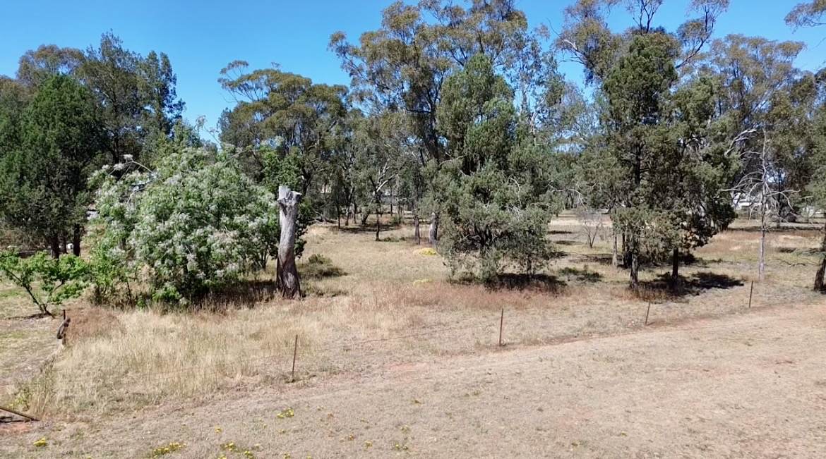 Lot Lot 11-12,  Clarence Street, Boree Creek For Sale by Farmbuy.com - image 3
