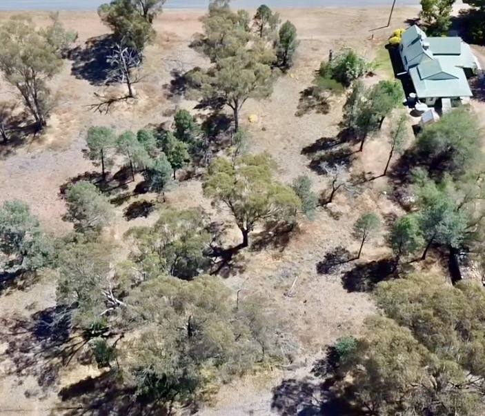 Lot Lot 11-12,  Clarence Street, Boree Creek For Sale by Farmbuy.com - image 2