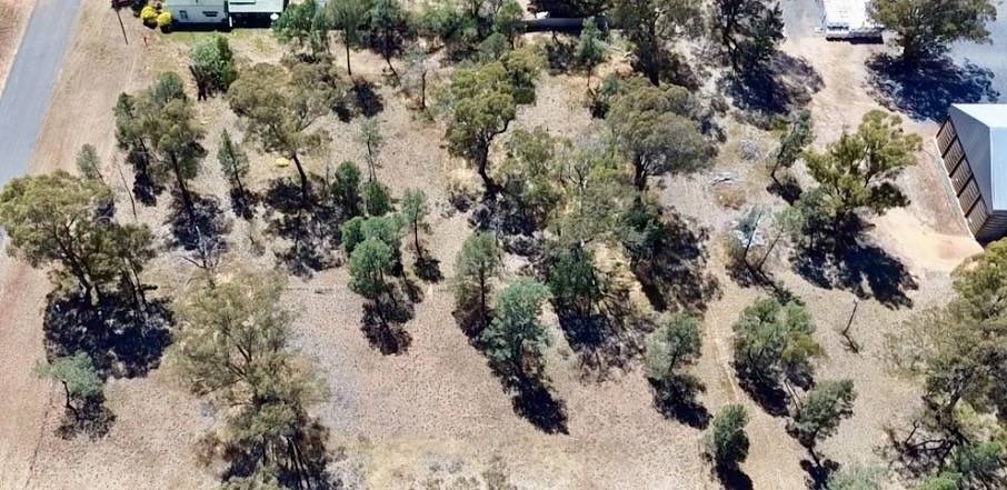 Lot Lot 11-12,  Clarence Street, Boree Creek For Sale by Farmbuy.com - image 7