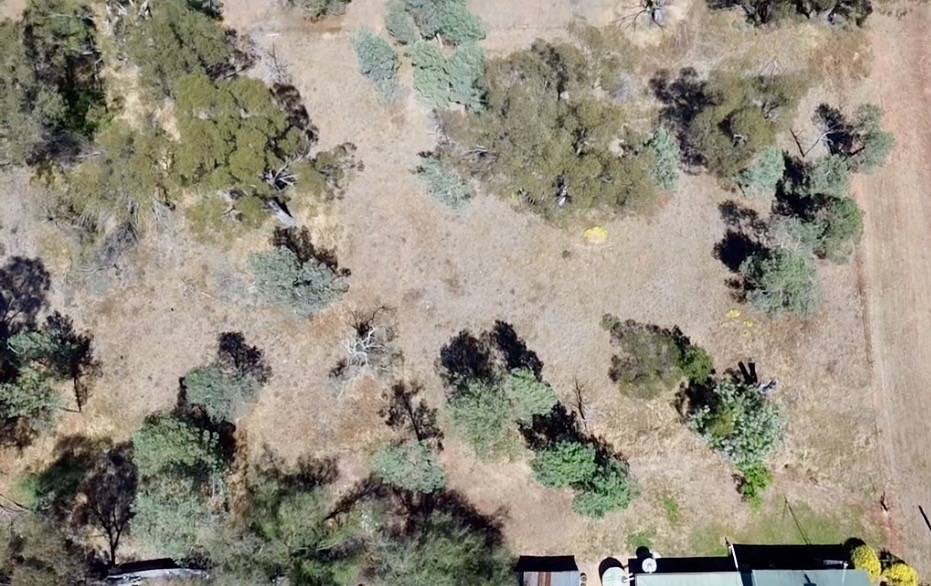 Lot Lot 11-12,  Clarence Street, Boree Creek For Sale by Farmbuy.com - image 6
