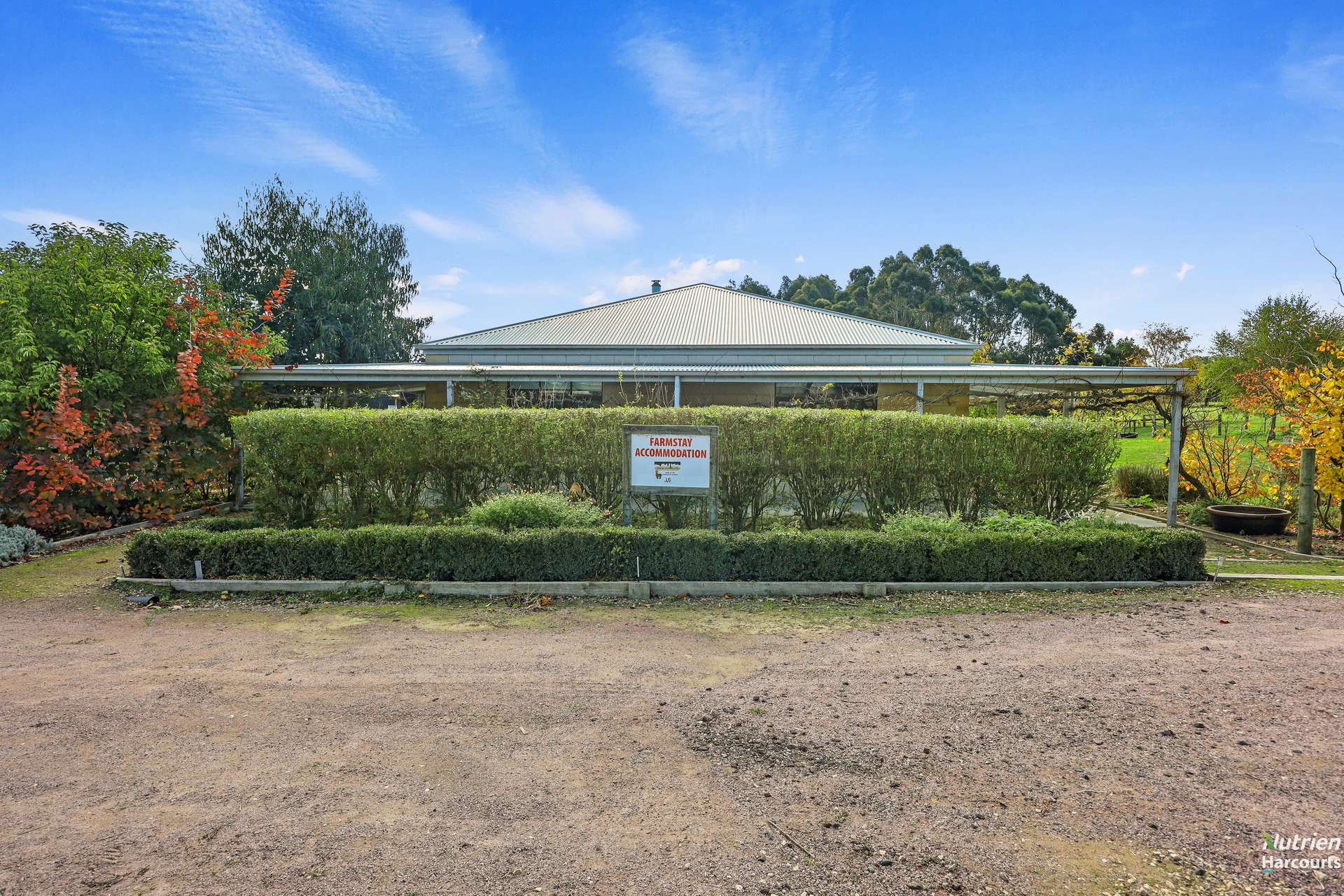 Lot 1, 1432 Princetown Road, Cooriemungle For Sale by Farmbuy.com - image 3