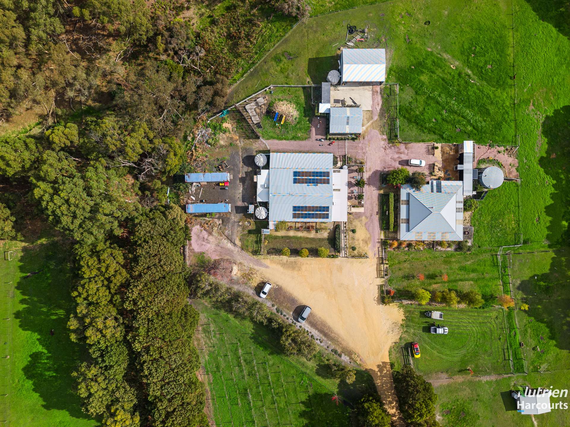 Lot 1, 1432 Princetown Road, Cooriemungle For Sale by Farmbuy.com - image 4
