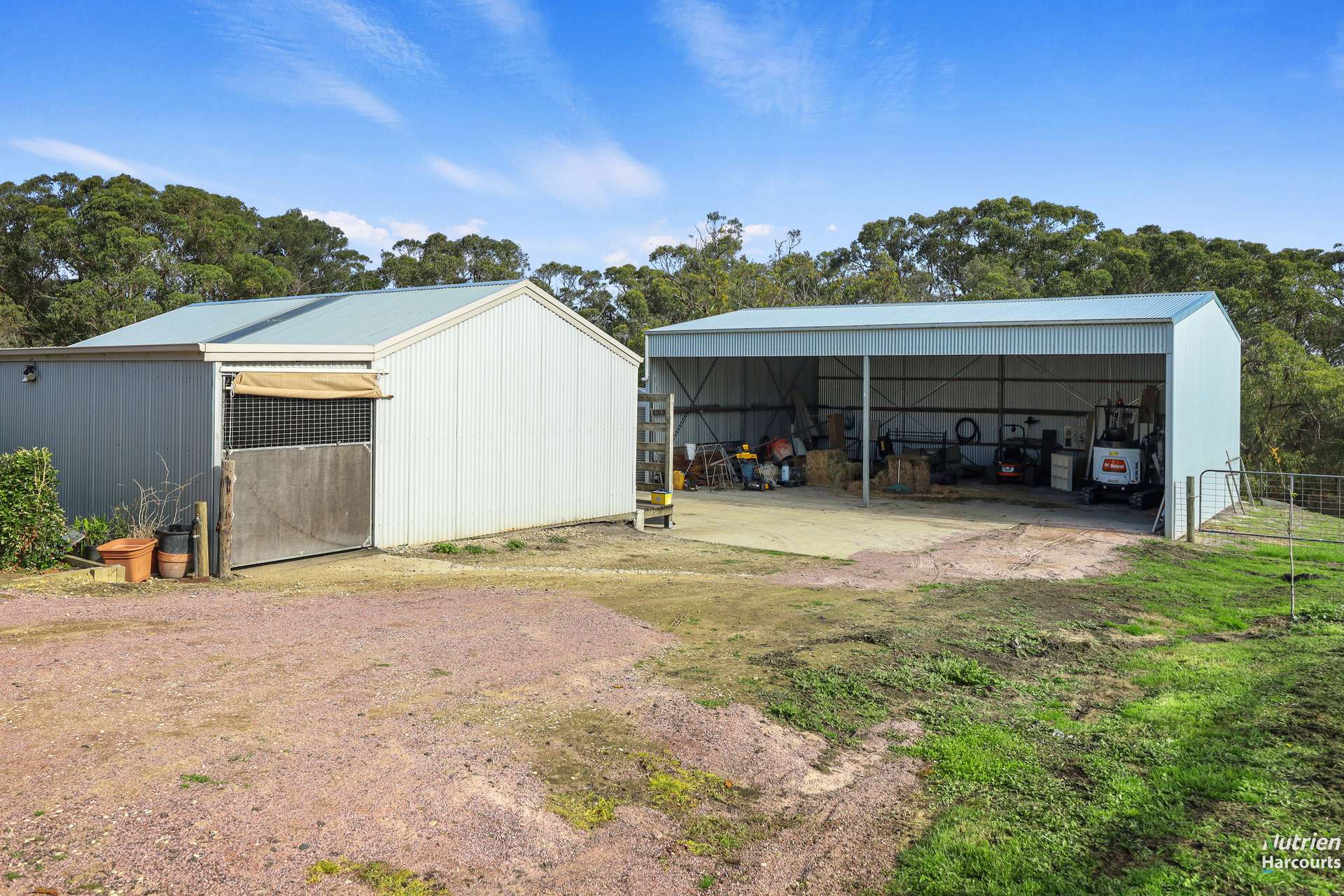Lot 1, 1432 Princetown Road, Cooriemungle For Sale by Farmbuy.com - image 23