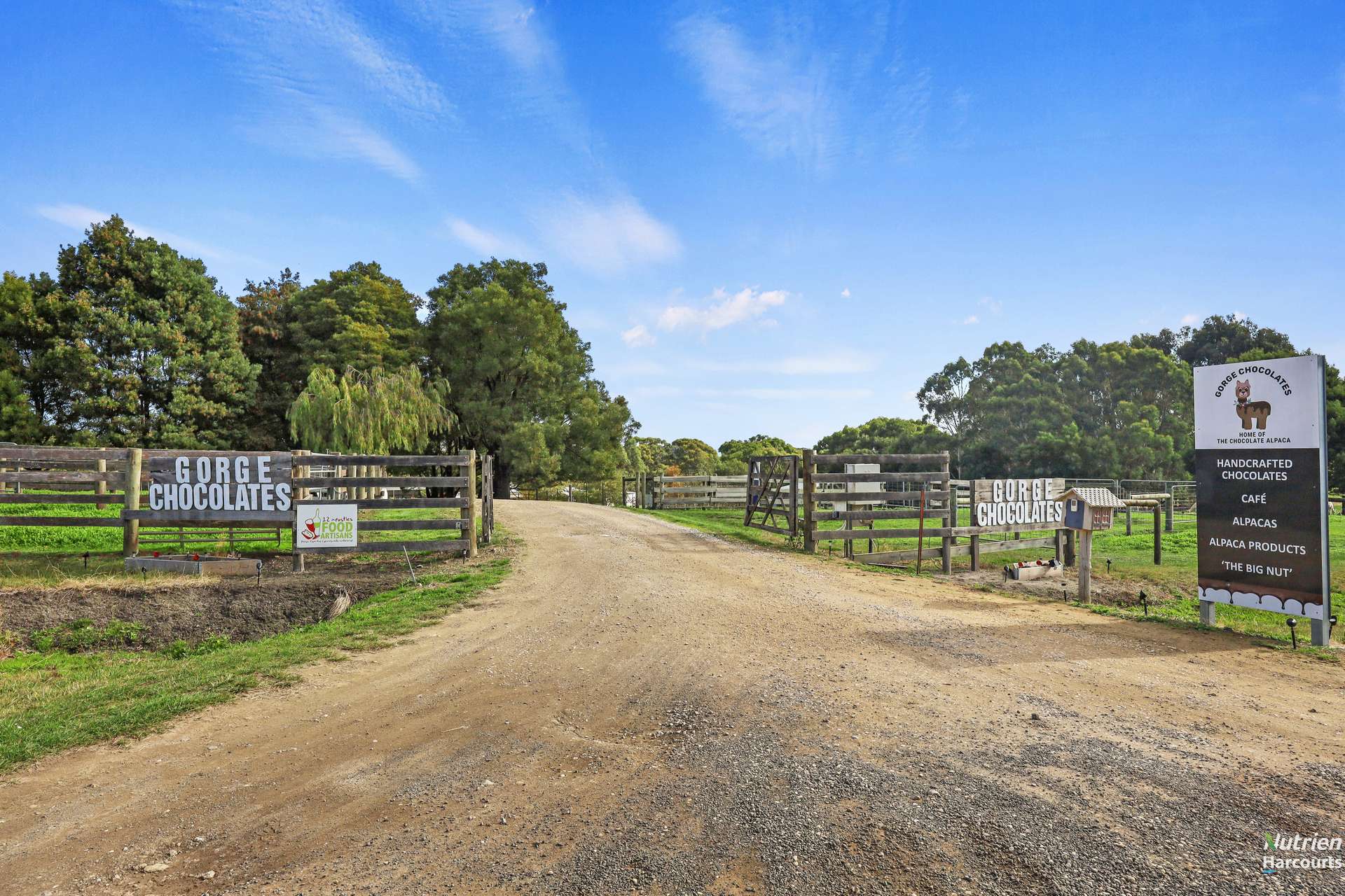 Lot 1, 1432 Princetown Road, Cooriemungle For Sale by Farmbuy.com - image 8