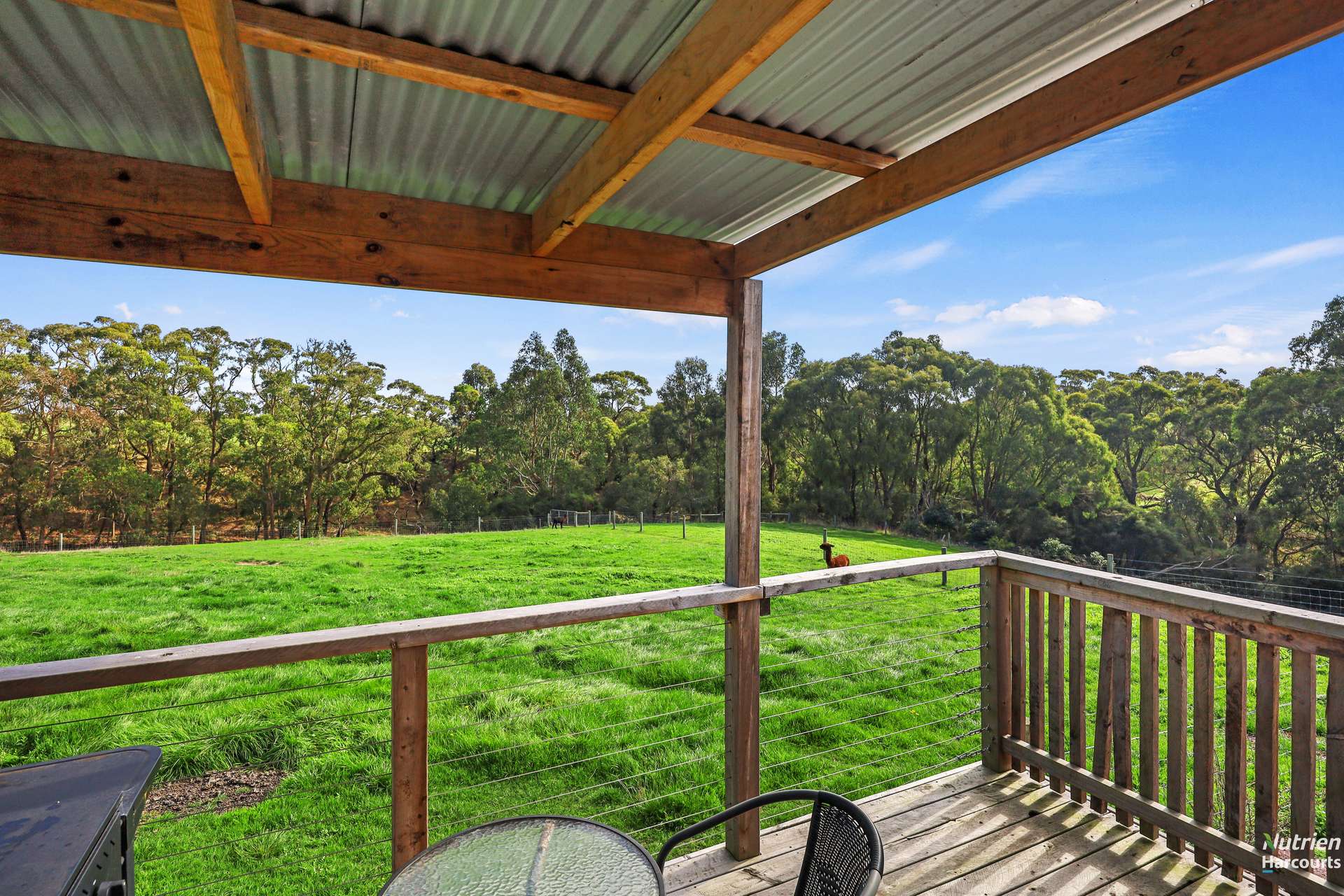 Lot 1, 1432 Princetown Road, Cooriemungle For Sale by Farmbuy.com - image 33