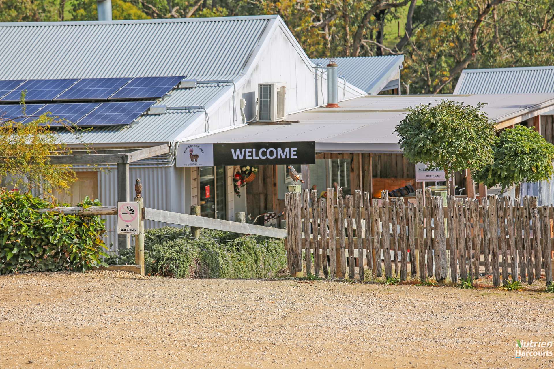 Lot 1, 1432 Princetown Road, Cooriemungle For Sale by Farmbuy.com - image 22