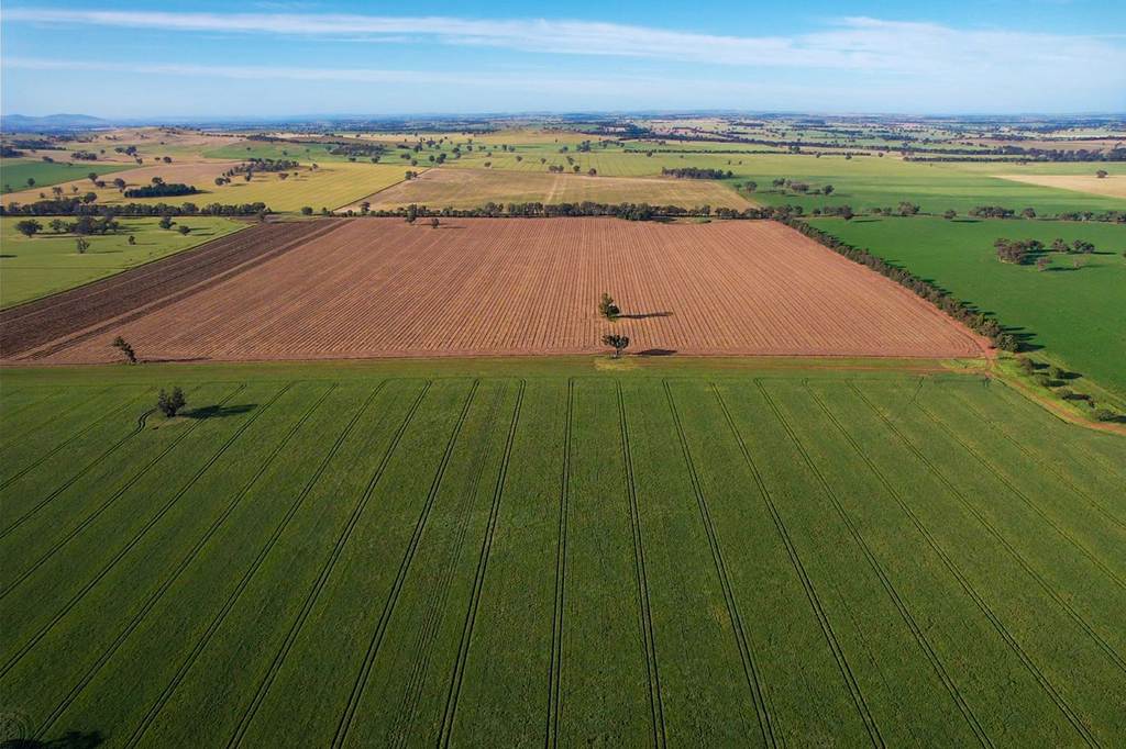 Cootamundra NSW 2590