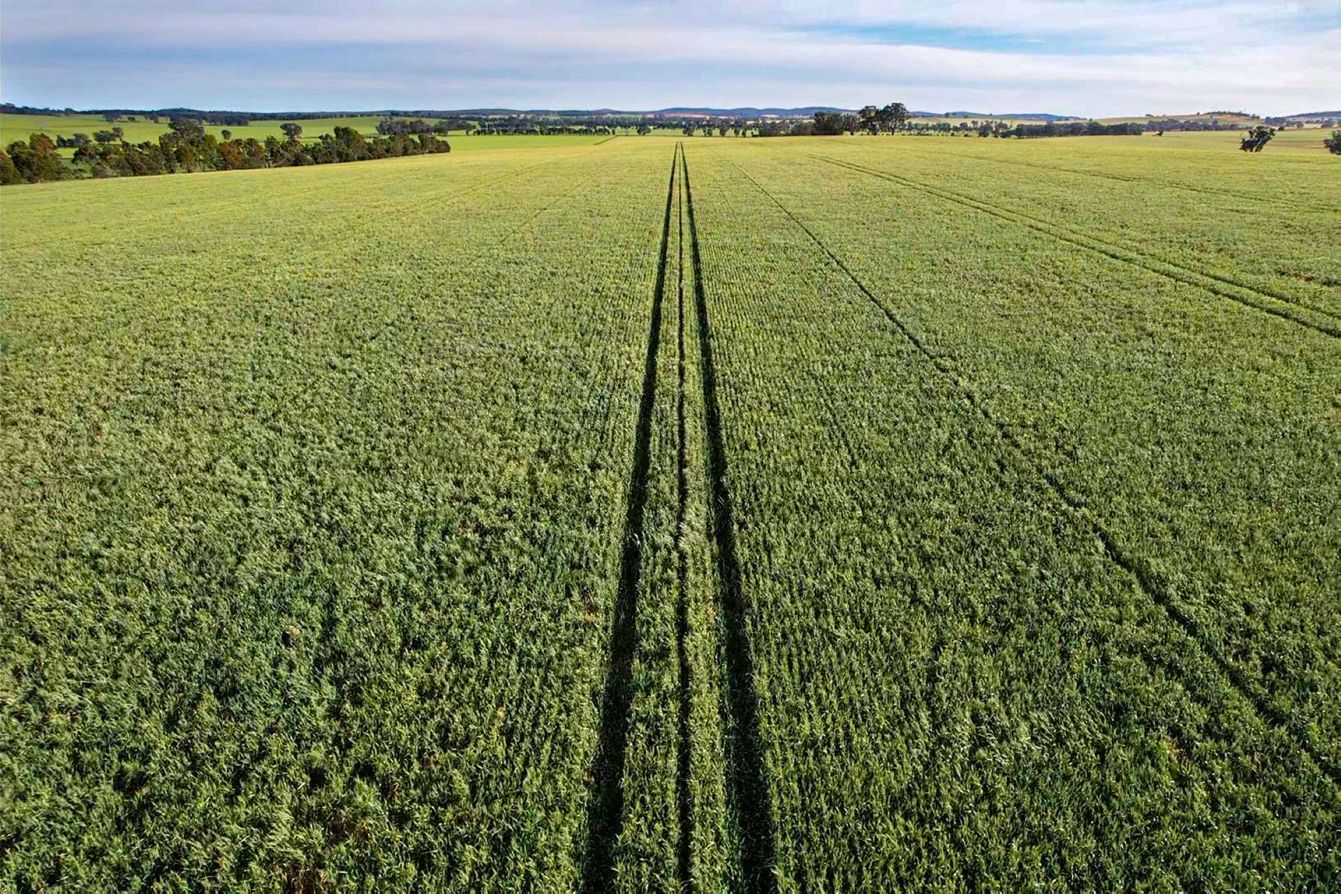 Cootamundra For Sale by Farmbuy.com - image 11