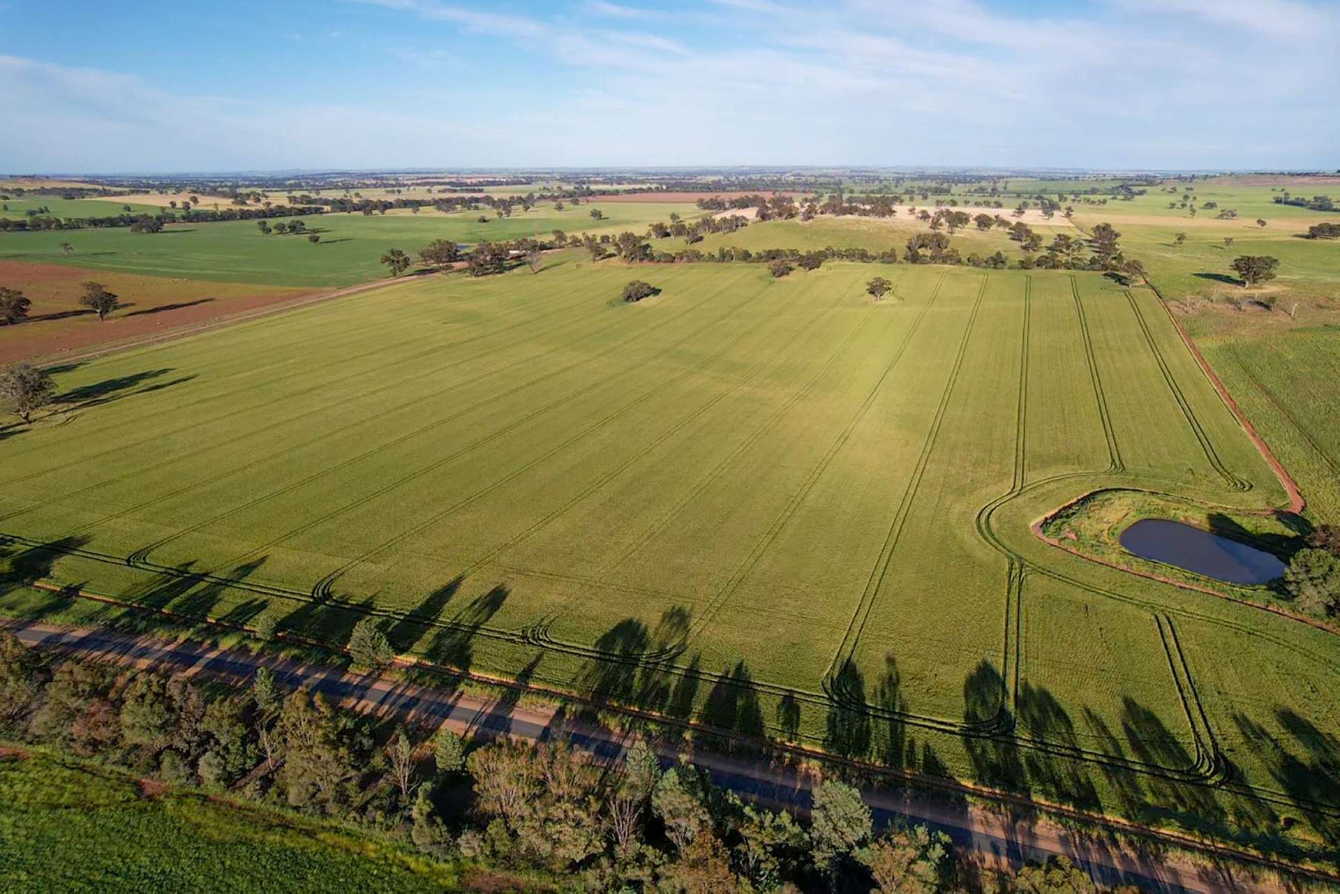 Cootamundra For Sale by Farmbuy.com - image 7