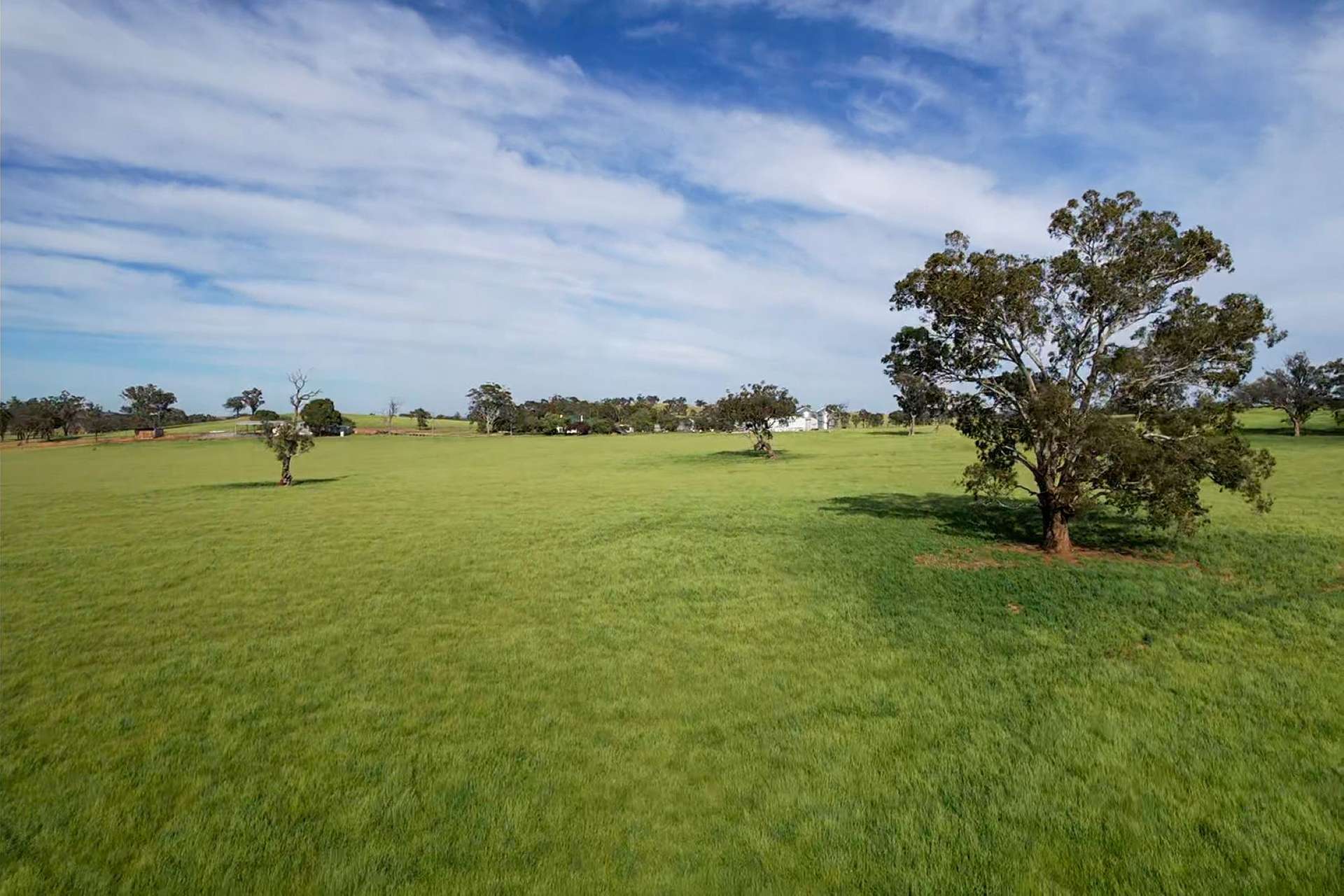 Cootamundra For Sale by Farmbuy.com - image 4