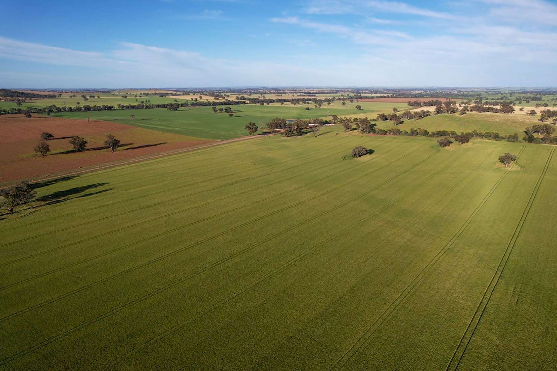 Cootamundra For Sale by Farmbuy.com - image 8