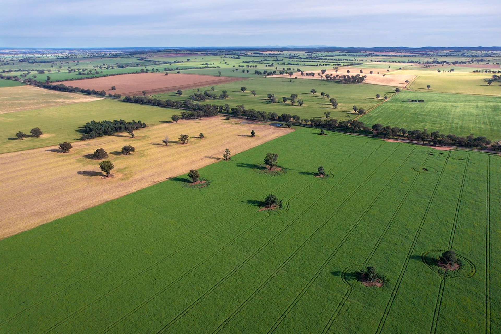 Cootamundra For Sale by Farmbuy.com - image 9