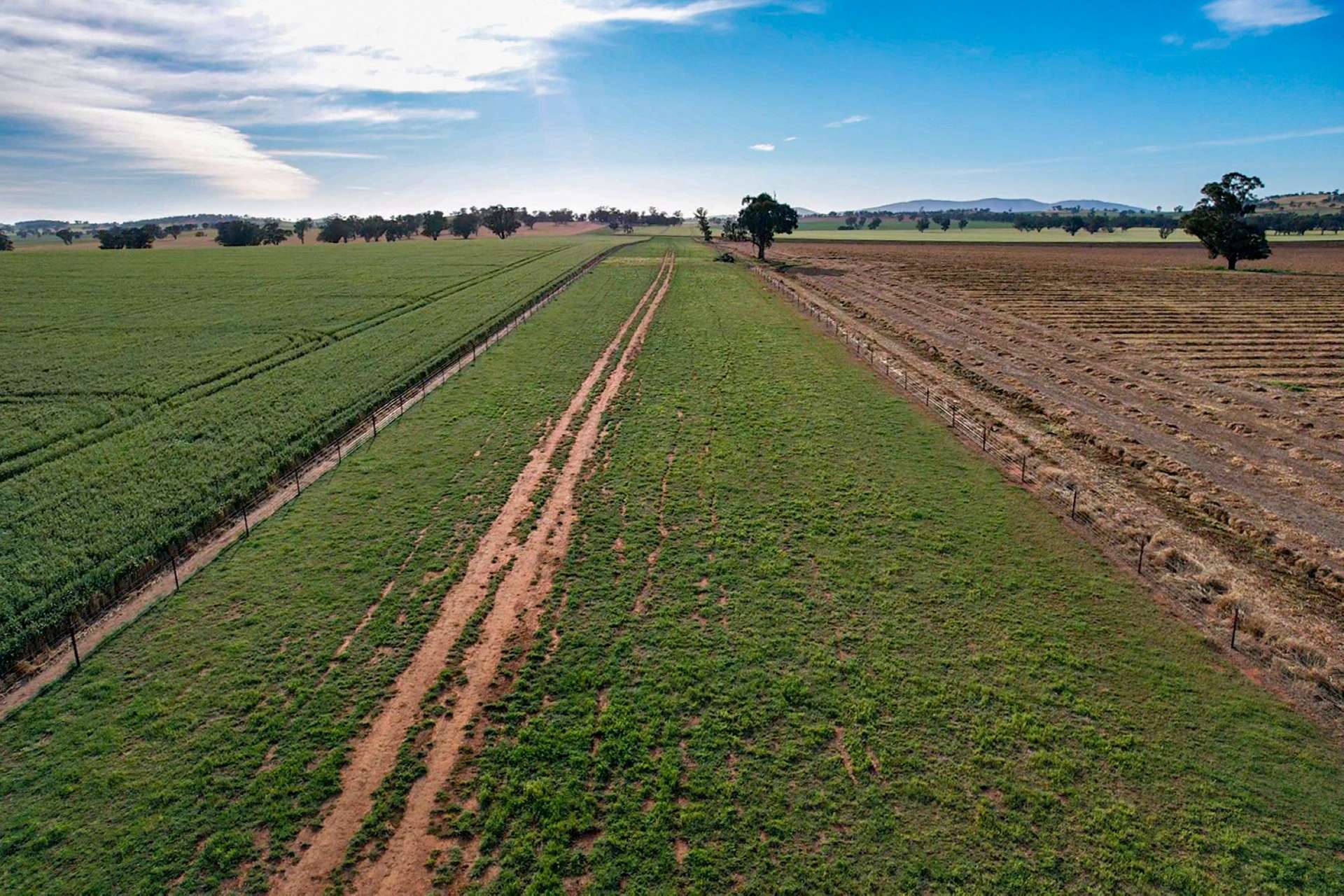 Cootamundra For Sale by Farmbuy.com - image 19