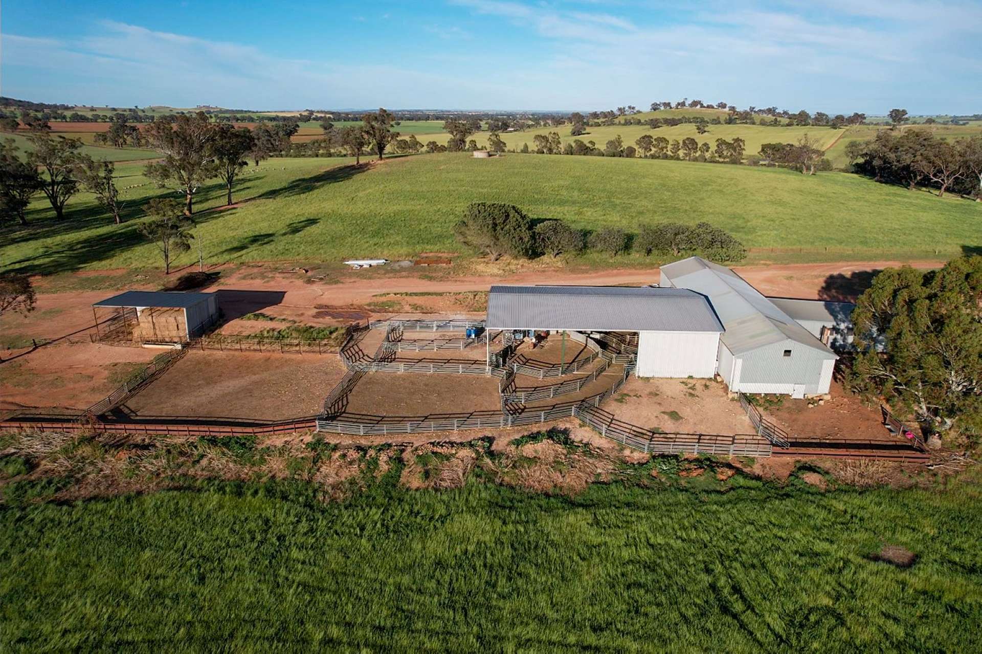 Cootamundra For Sale by Farmbuy.com - image 13