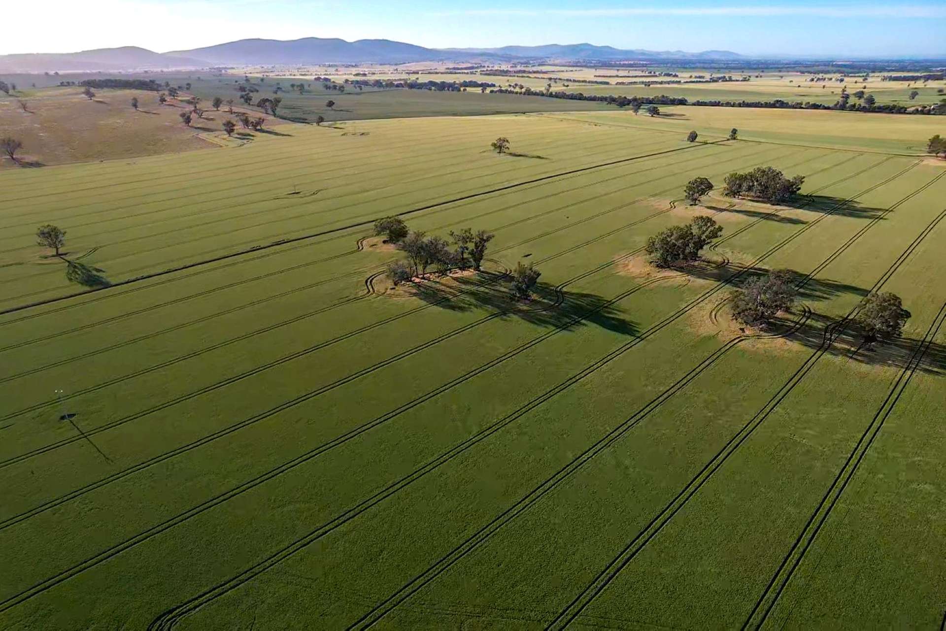 Cootamundra For Sale by Farmbuy.com - image 2