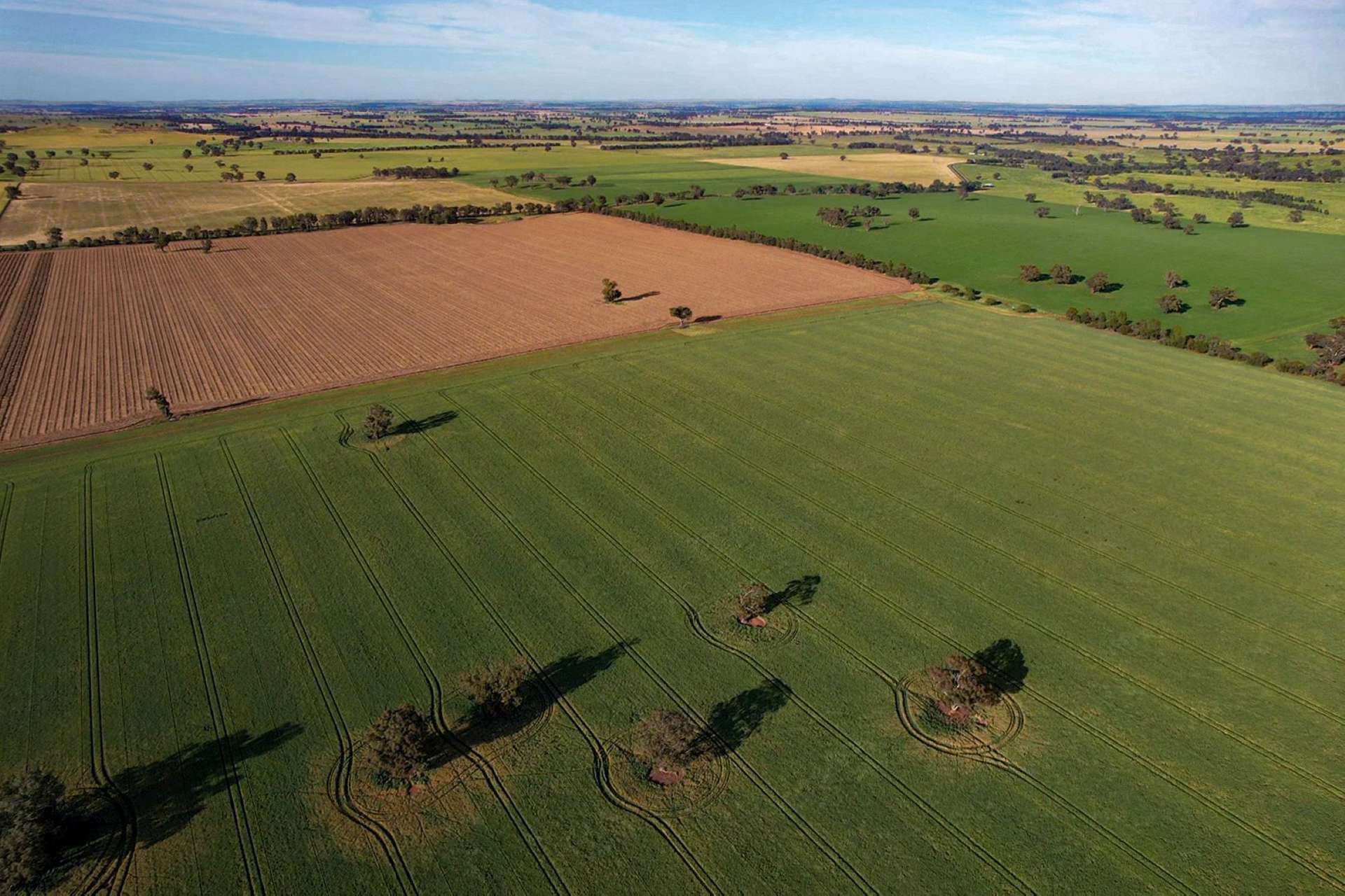 Cootamundra For Sale by Farmbuy.com - image 10