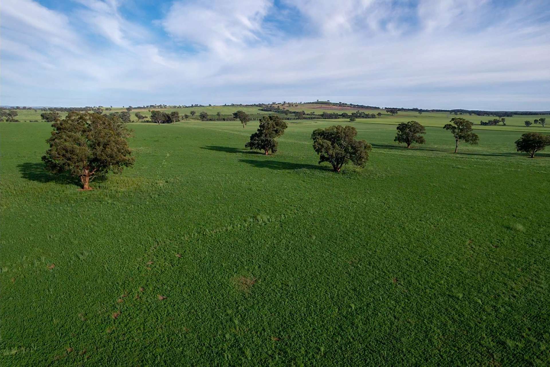 Cootamundra For Sale by Farmbuy.com - image 25