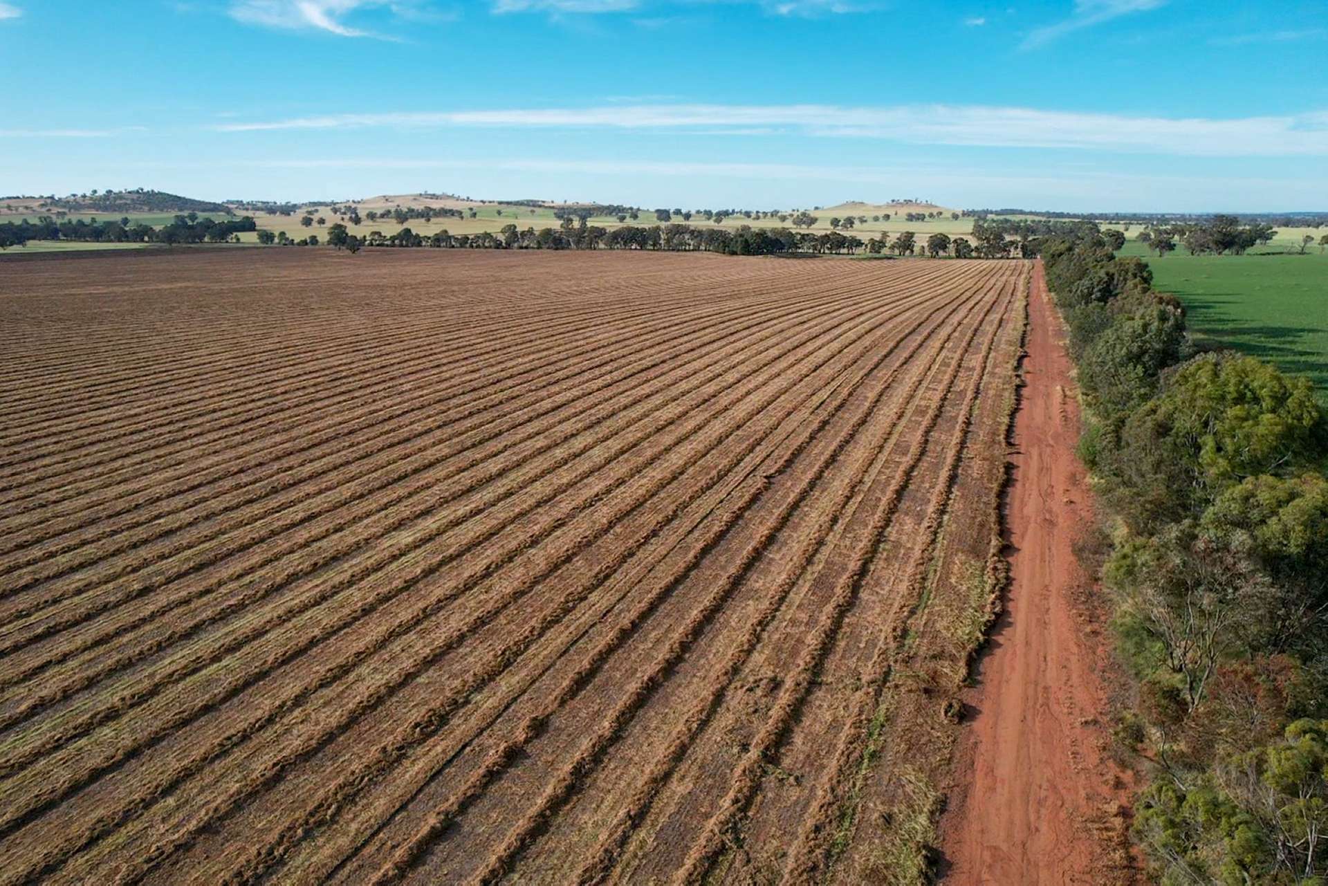 Cootamundra For Sale by Farmbuy.com - image 6